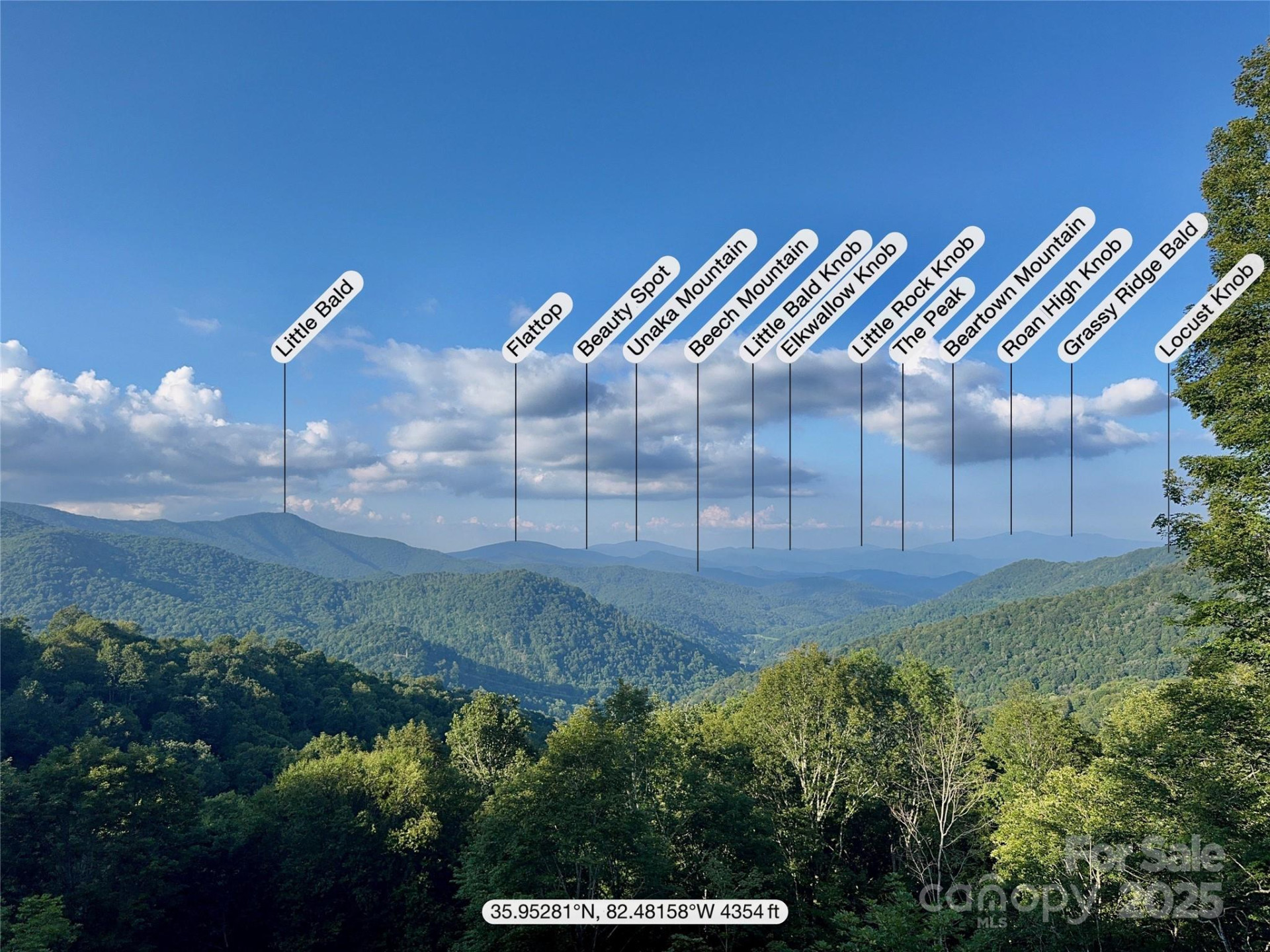 197 Cherry Knob Drive - Photo 46