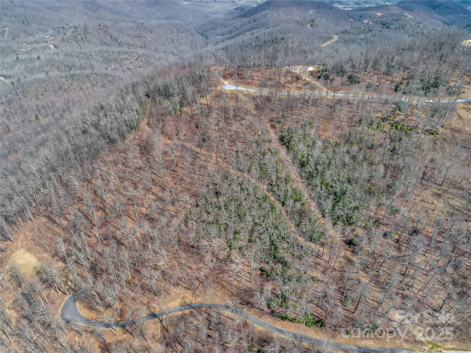 154 High Cliffs Trail #Lot 12A - Photo 3