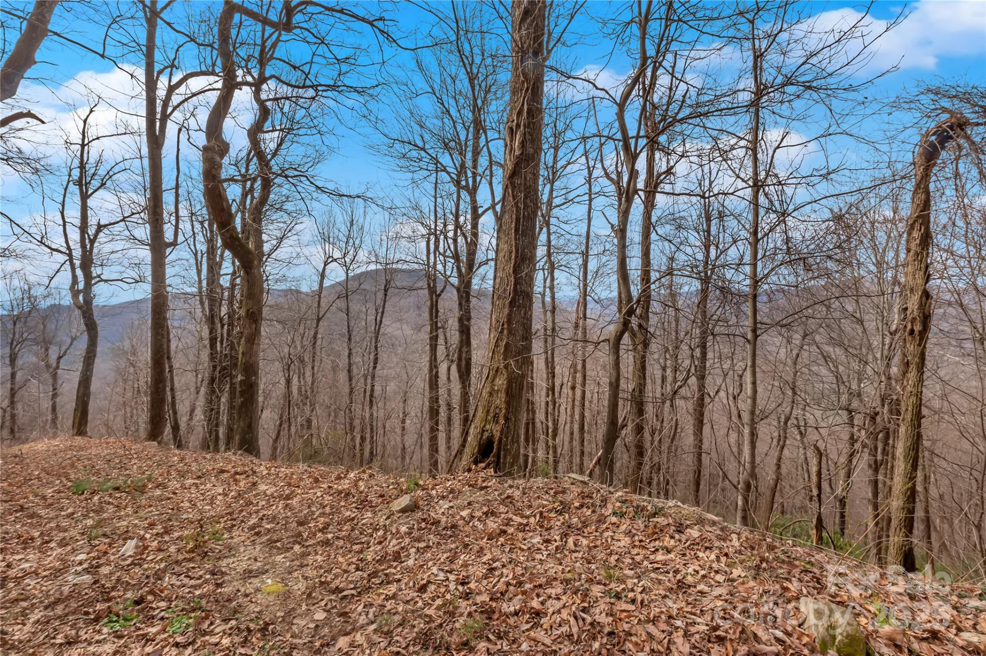 154 High Cliffs Trail #Lot 12A - Photo 5