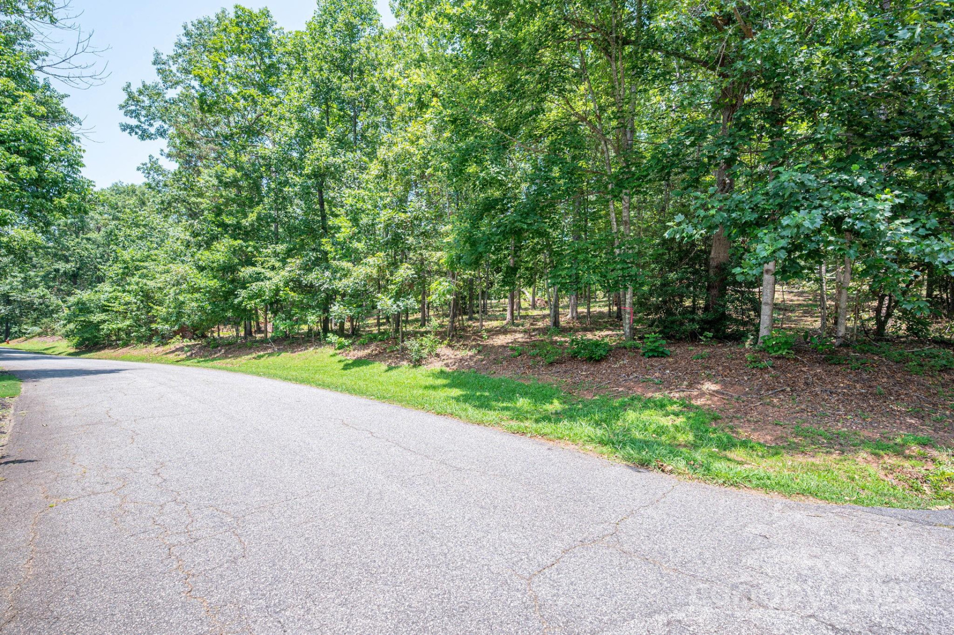 Lot #21 Moss Drive - Photo 9