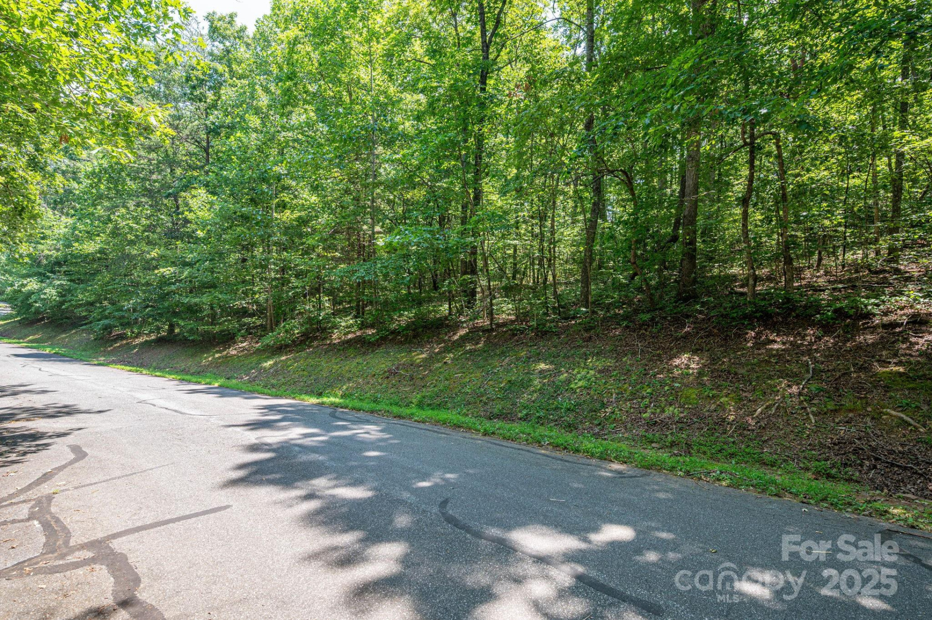 Lot #49 Moss Drive - Photo 10