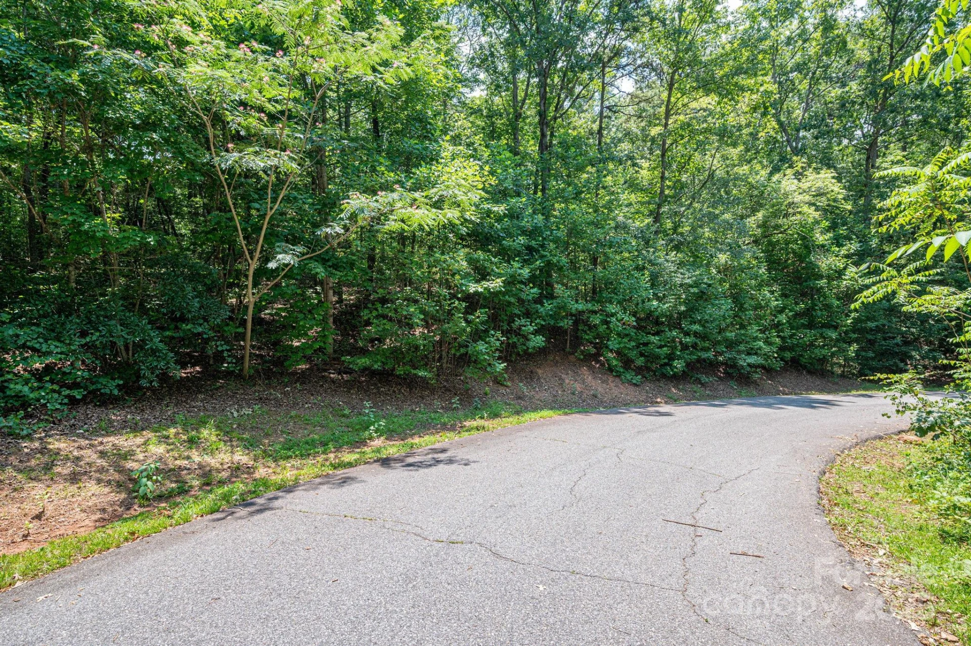 Lot #36 Moss Drive - Photo 7