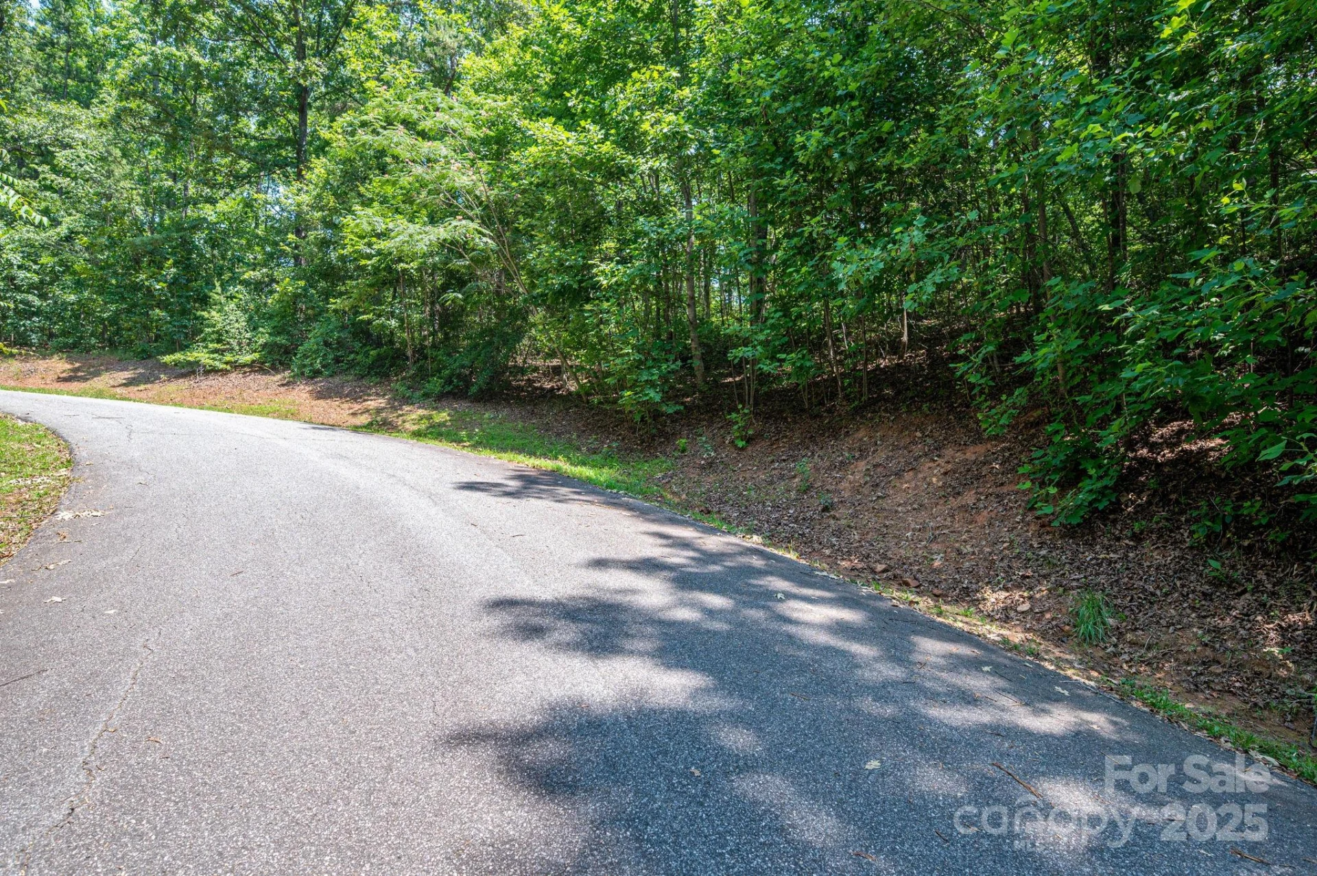 Lot #36 Moss Drive - Photo 8