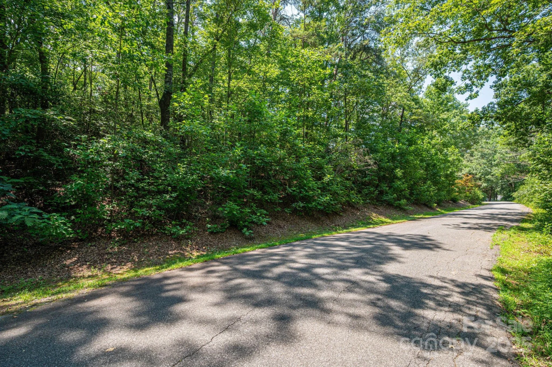 Lot #36 Moss Drive - Photo 10