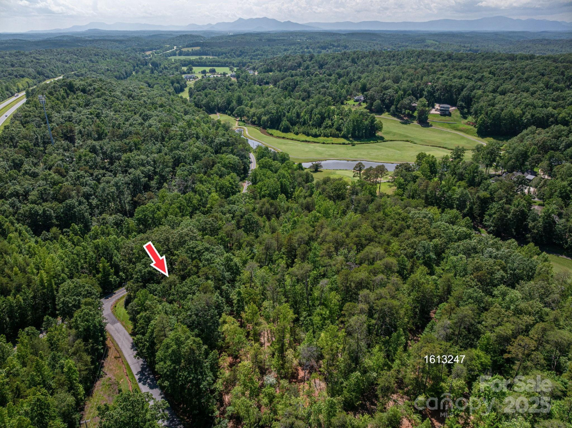 Lot #6 Cleghorn Mill Road - Photo 18