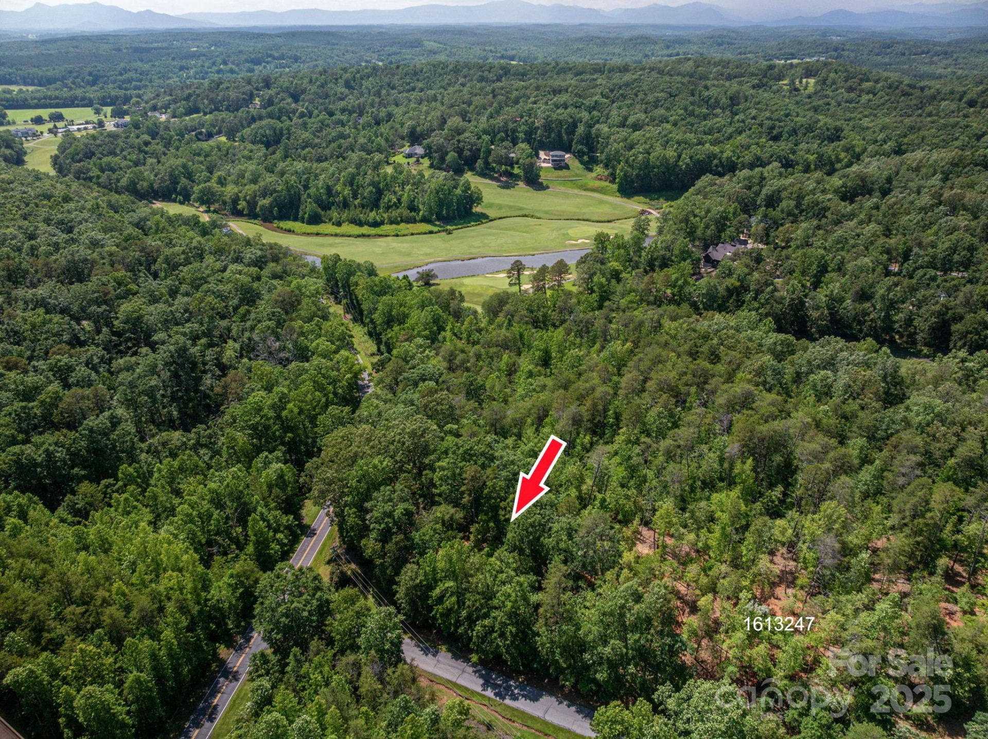 Lot #6 Cleghorn Mill Road - Photo 19