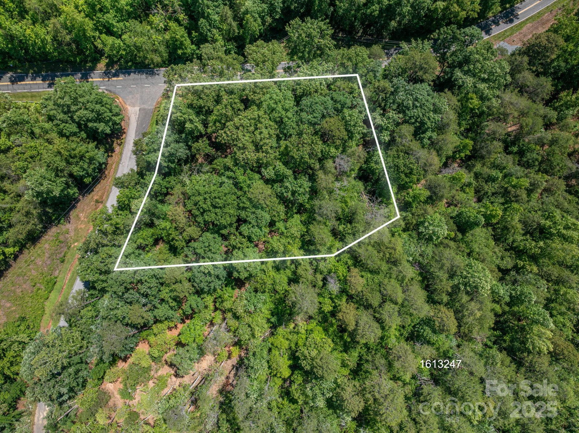 Lot #6 Cleghorn Mill Road - Photo 3