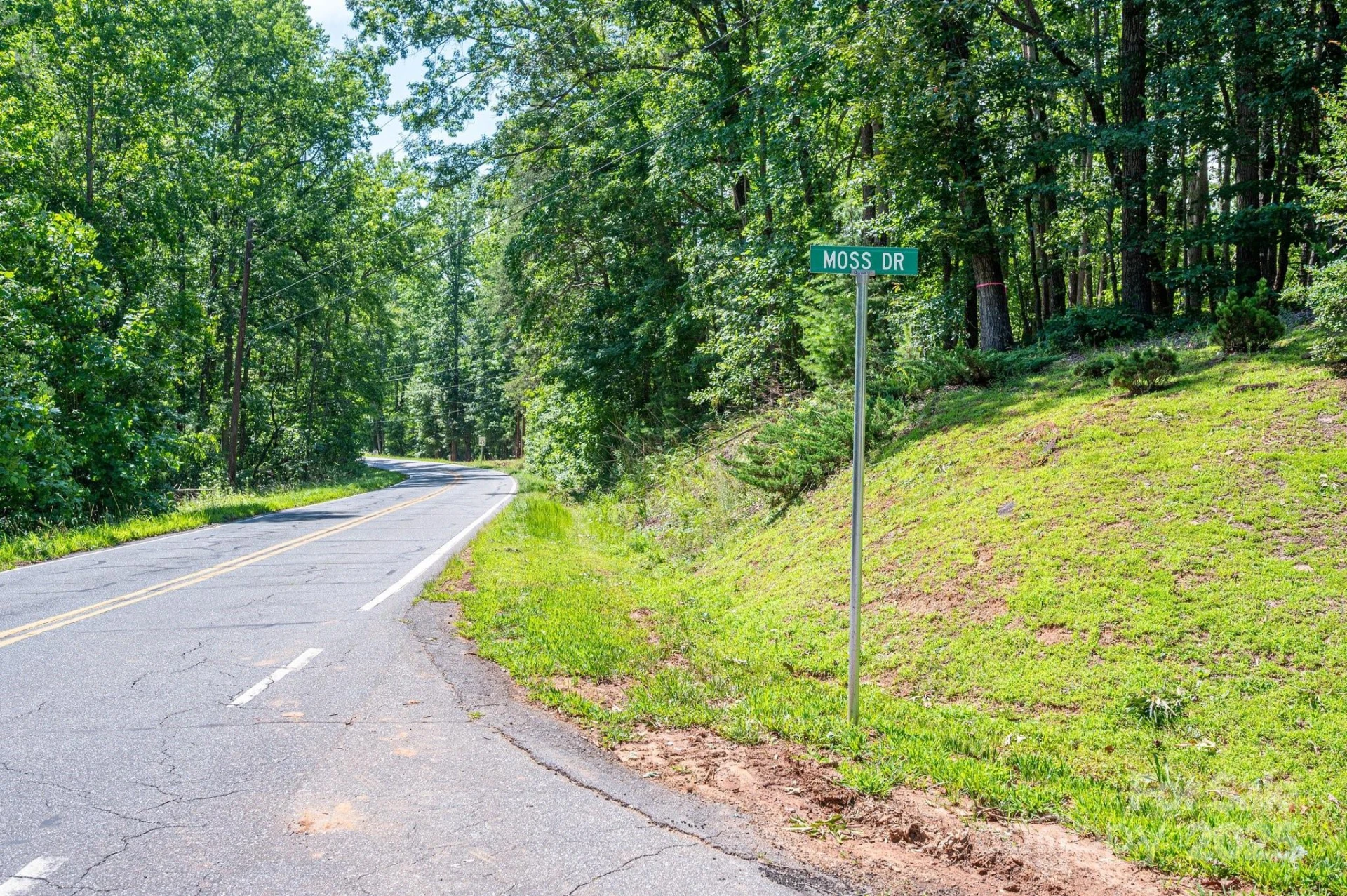 Lot #6 Cleghorn Mill Road - Photo 24