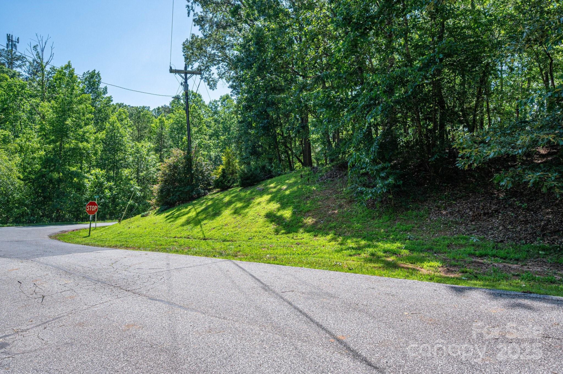 Lot #6 Cleghorn Mill Road - Photo 25