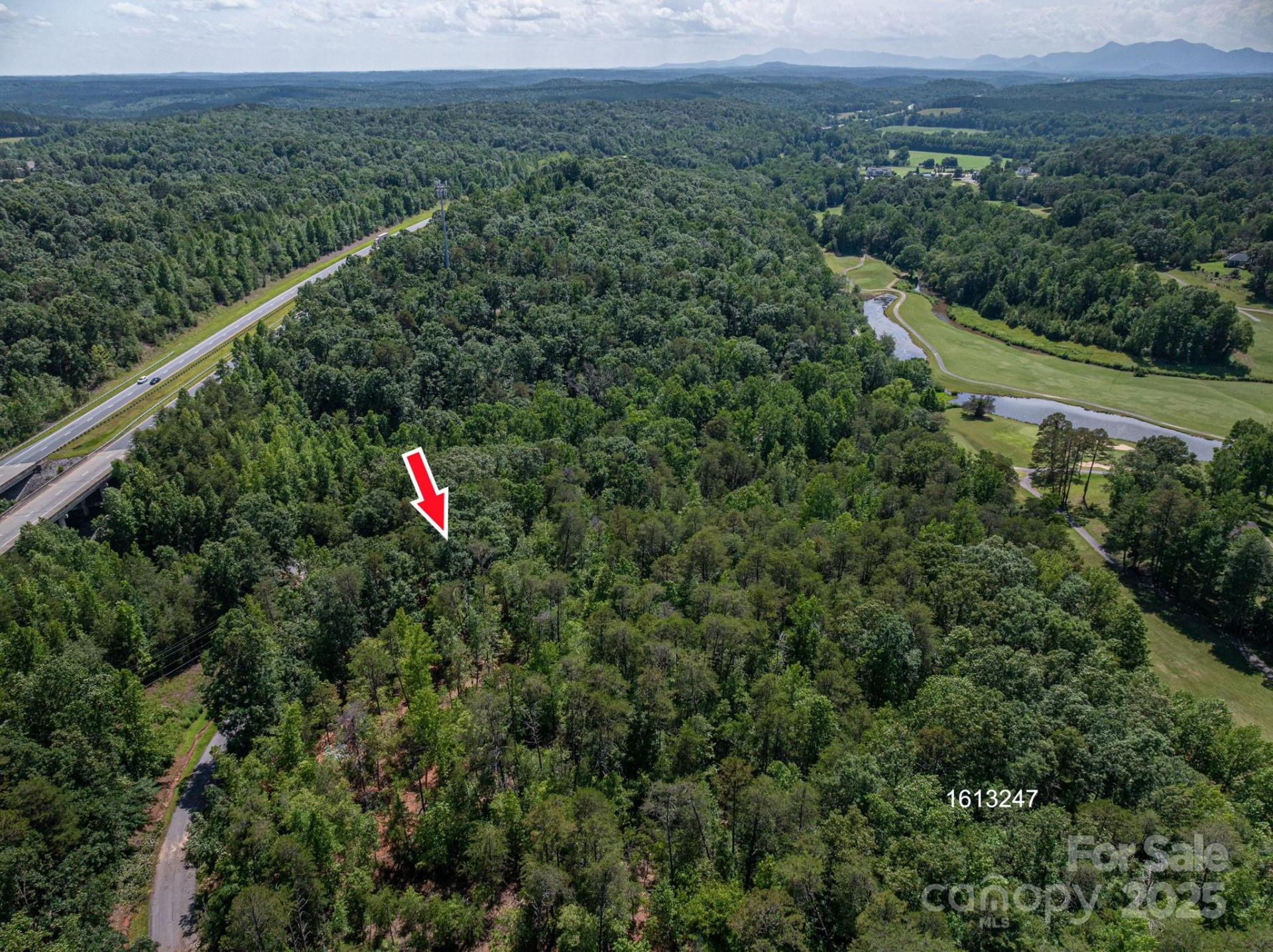 Lot #6 Cleghorn Mill Road - Photo 6