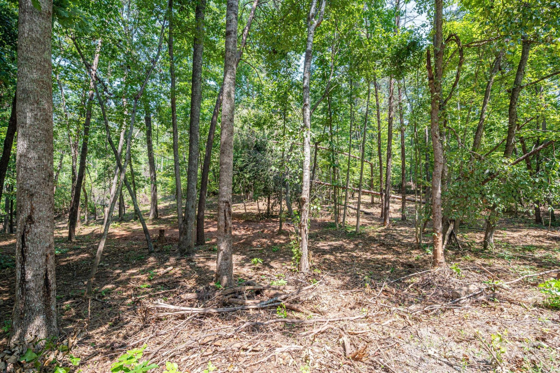 Lot 0 Annapolis Court - Photo 2