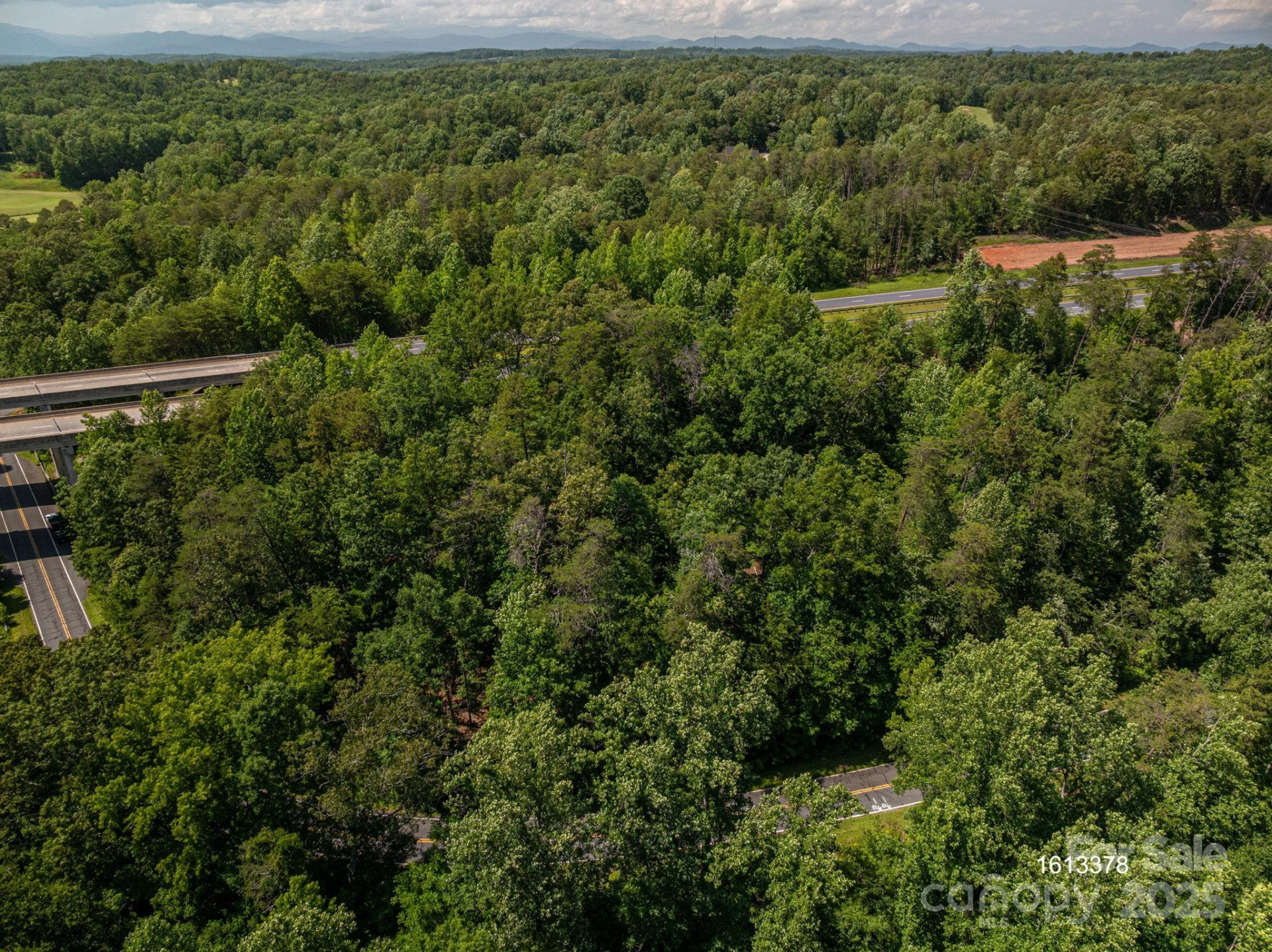 Lot #69 Cleghorn Mill Road - Photo 12