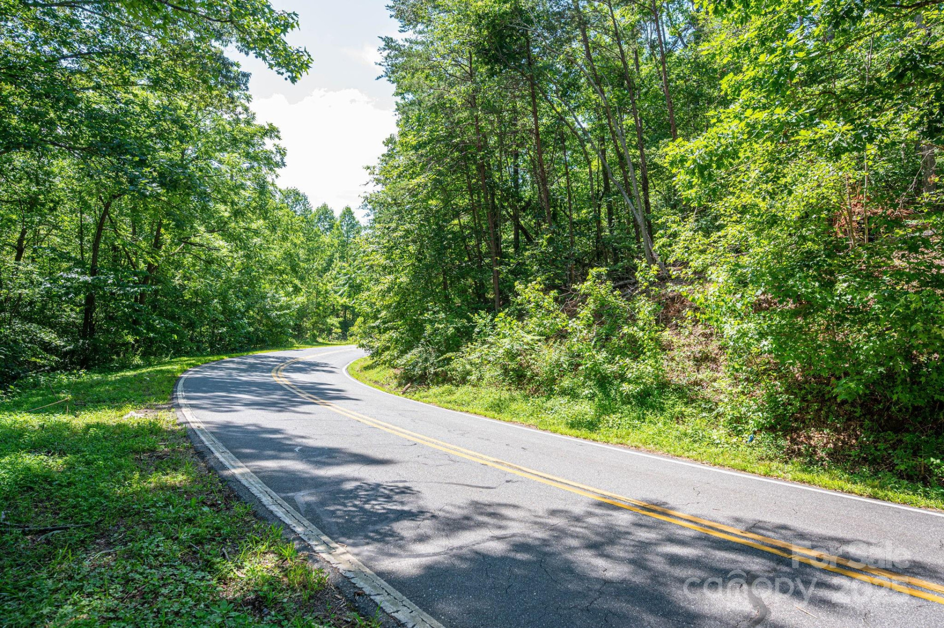 Lot #69 Cleghorn Mill Road - Photo 4