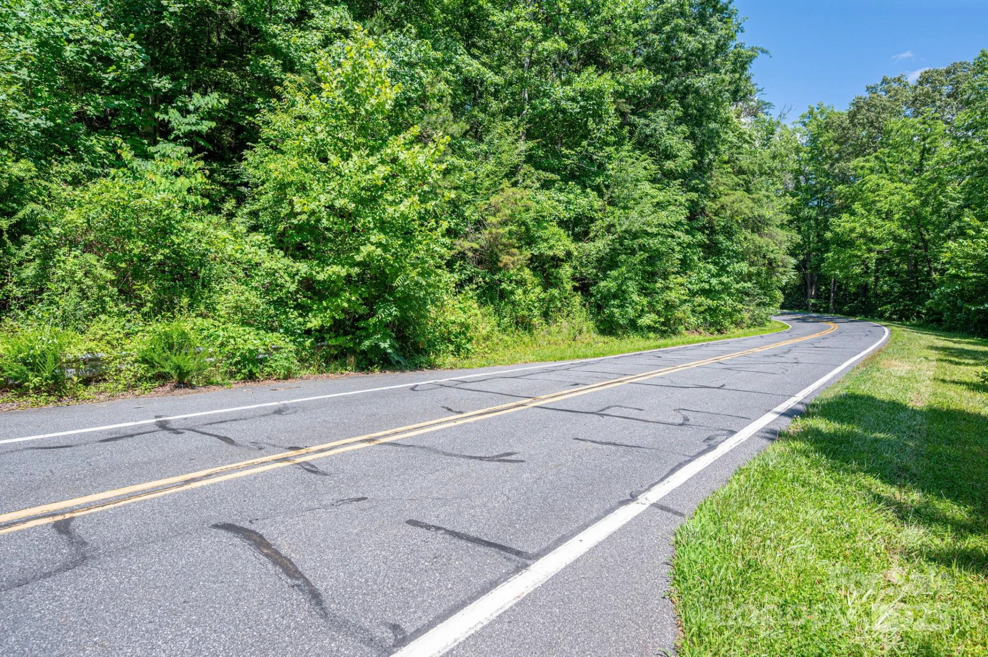 Lot #69 Cleghorn Mill Road - Photo 5