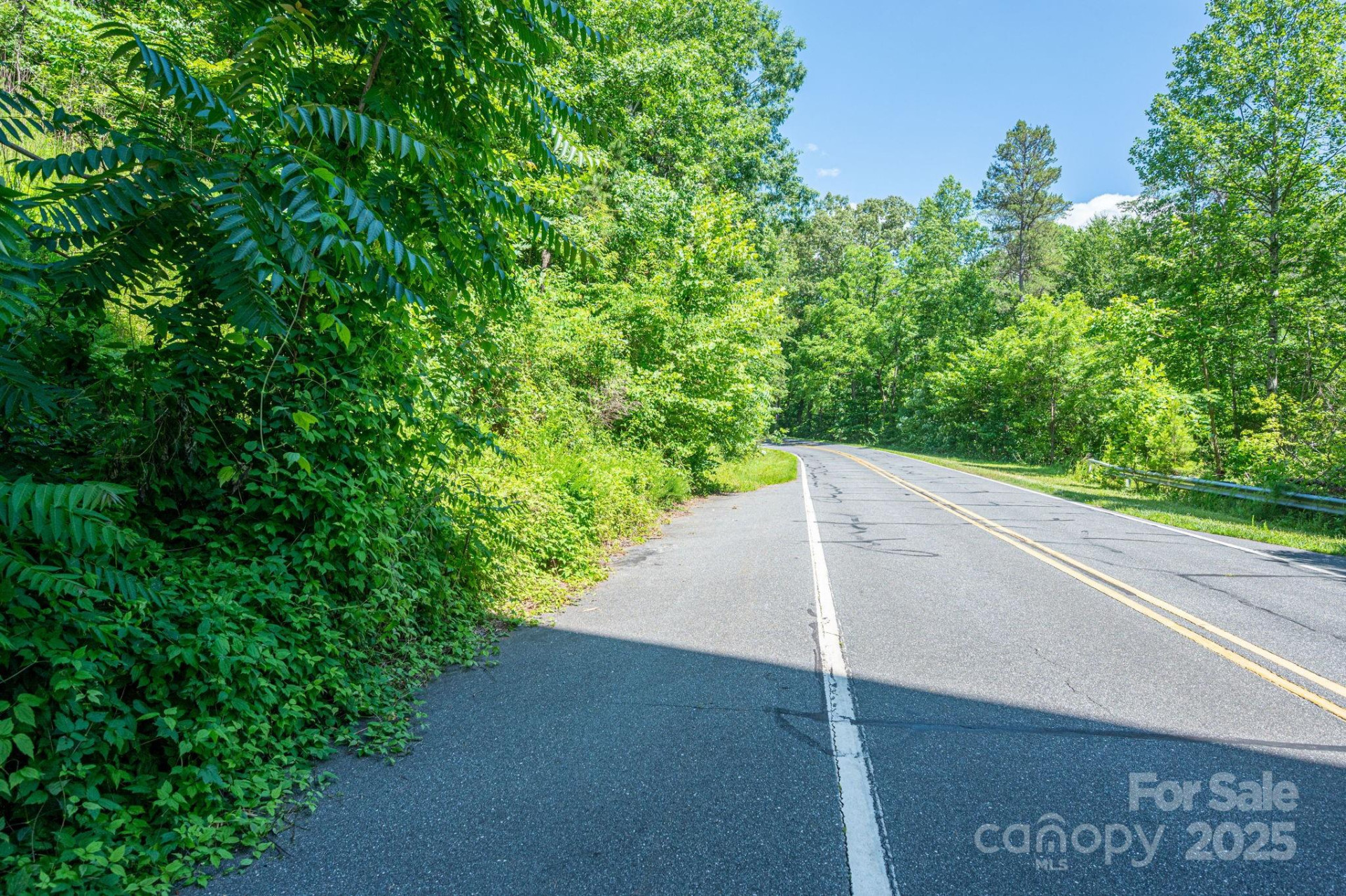 Lot #69 Cleghorn Mill Road - Photo 6