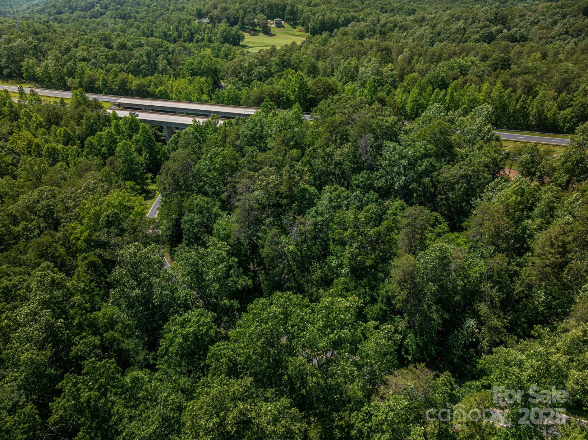 Lot #69 Cleghorn Mill Road - Photo 8