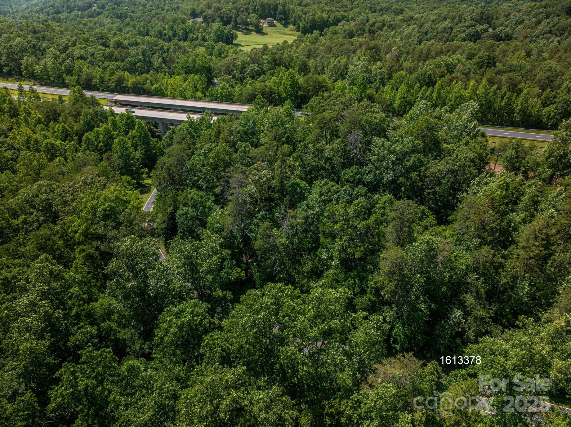 Lot #69 Cleghorn Mill Road - Photo 9