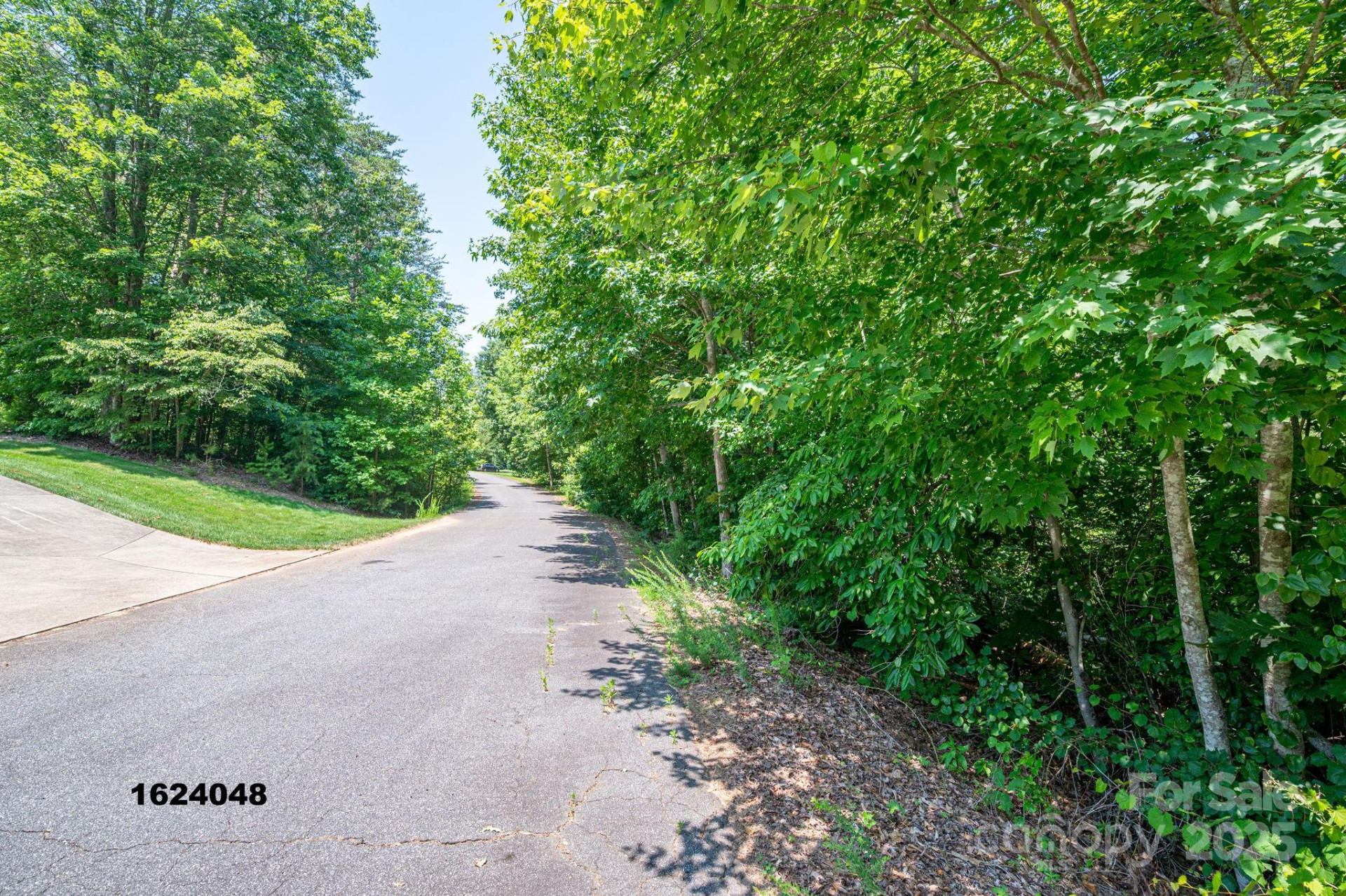 Lot Washburn Lane - Photo 13