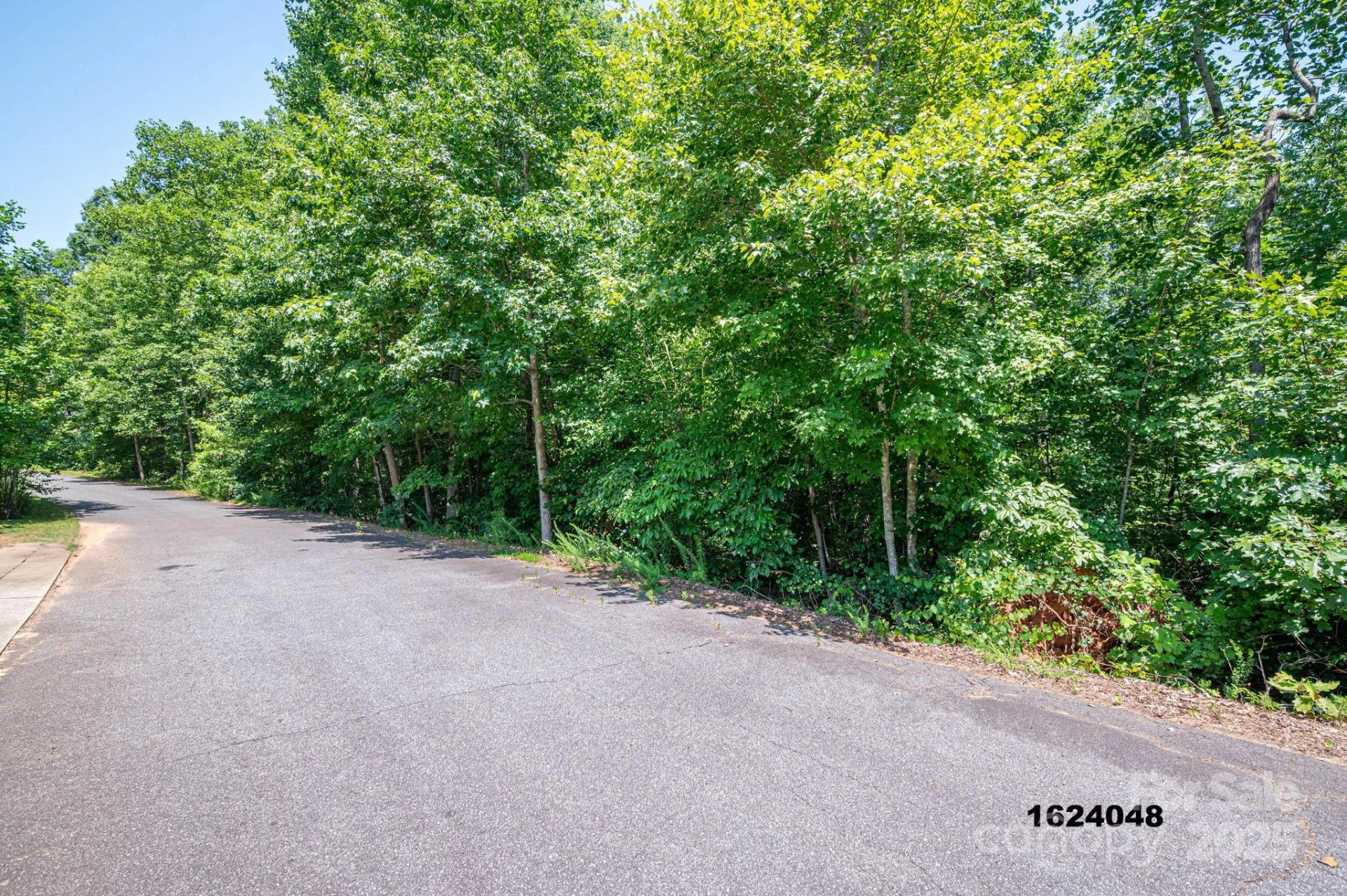 Lot Washburn Lane - Photo 14