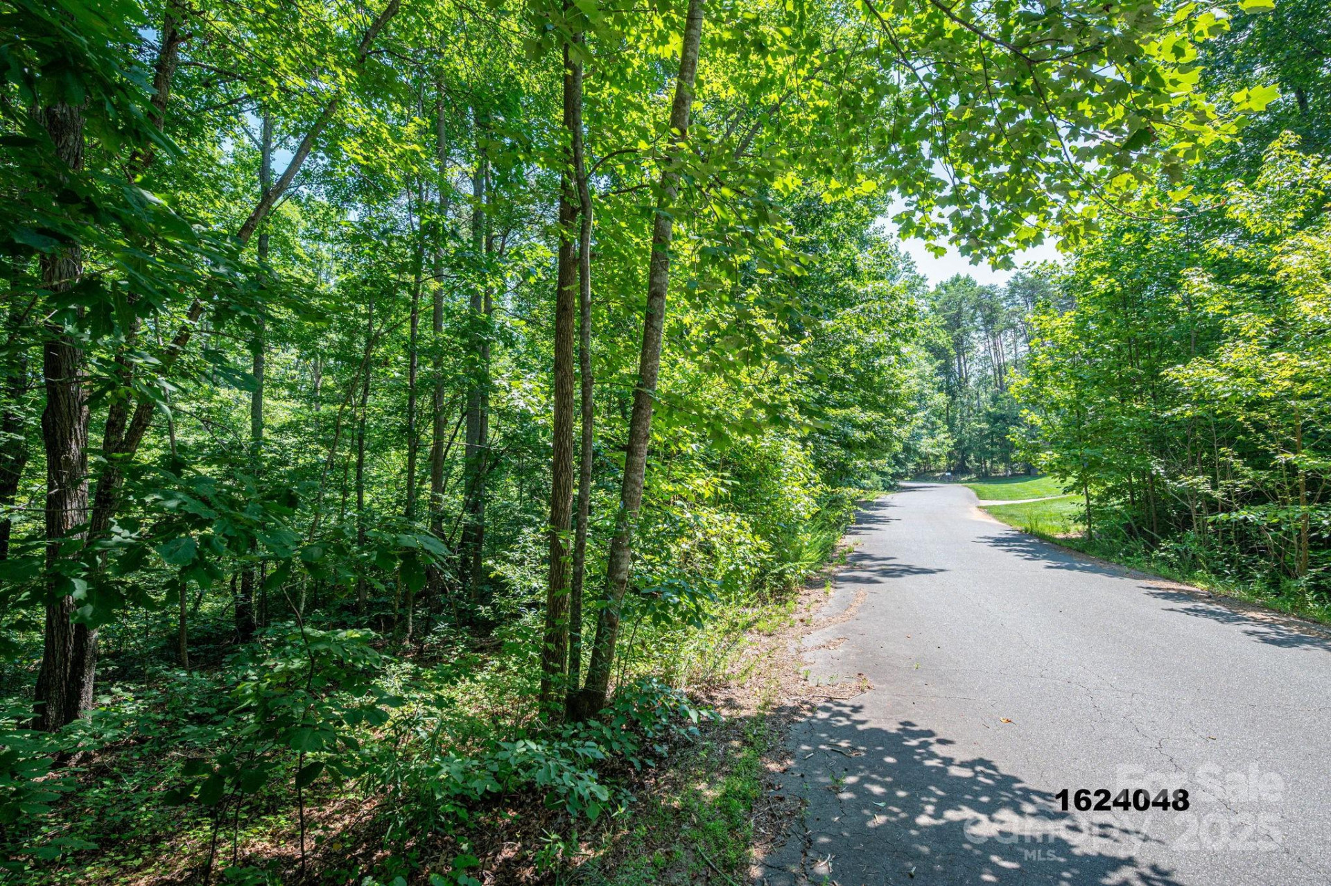Lot Washburn Lane - Photo 15