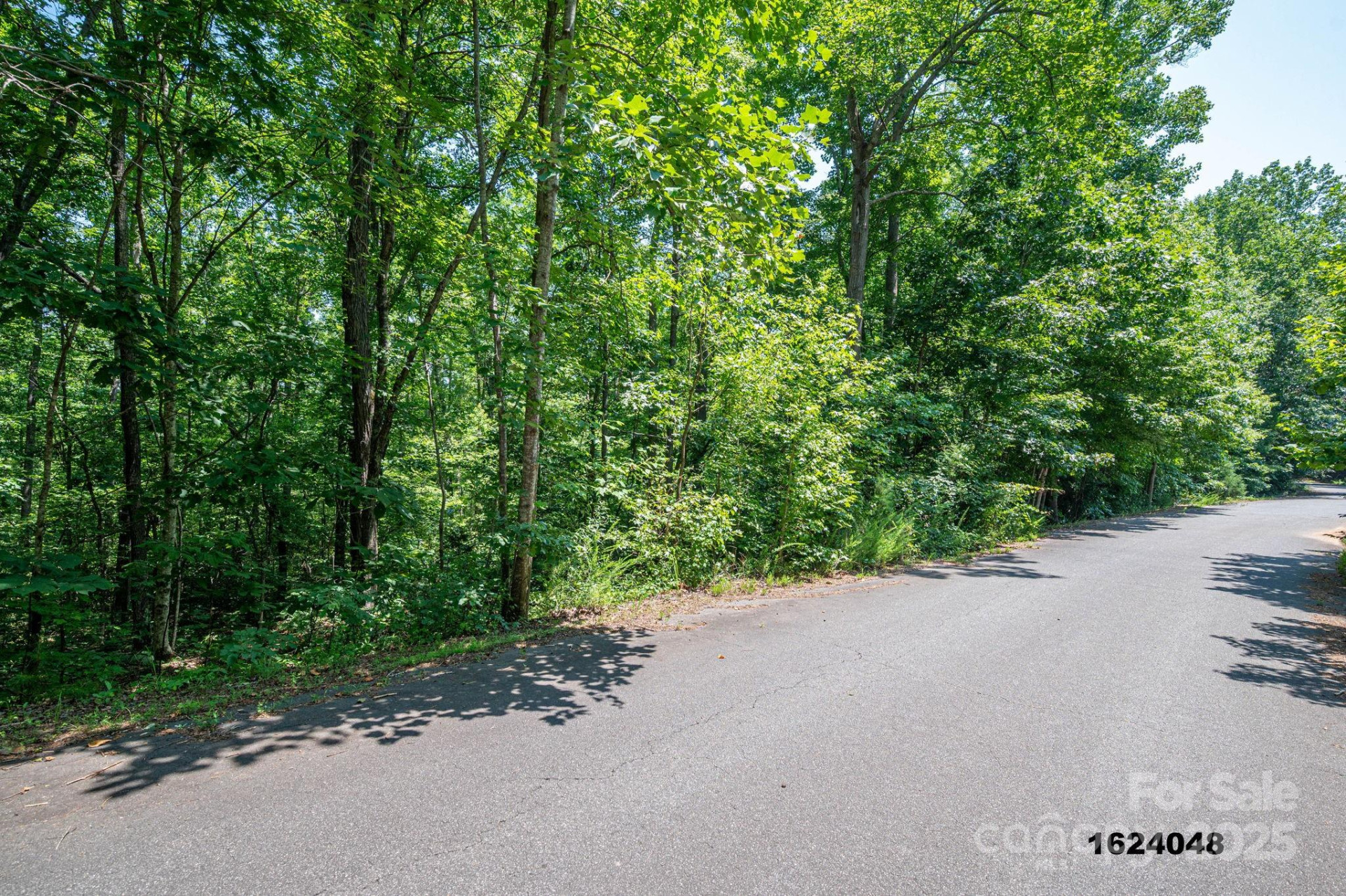 Lot Washburn Lane - Photo 3