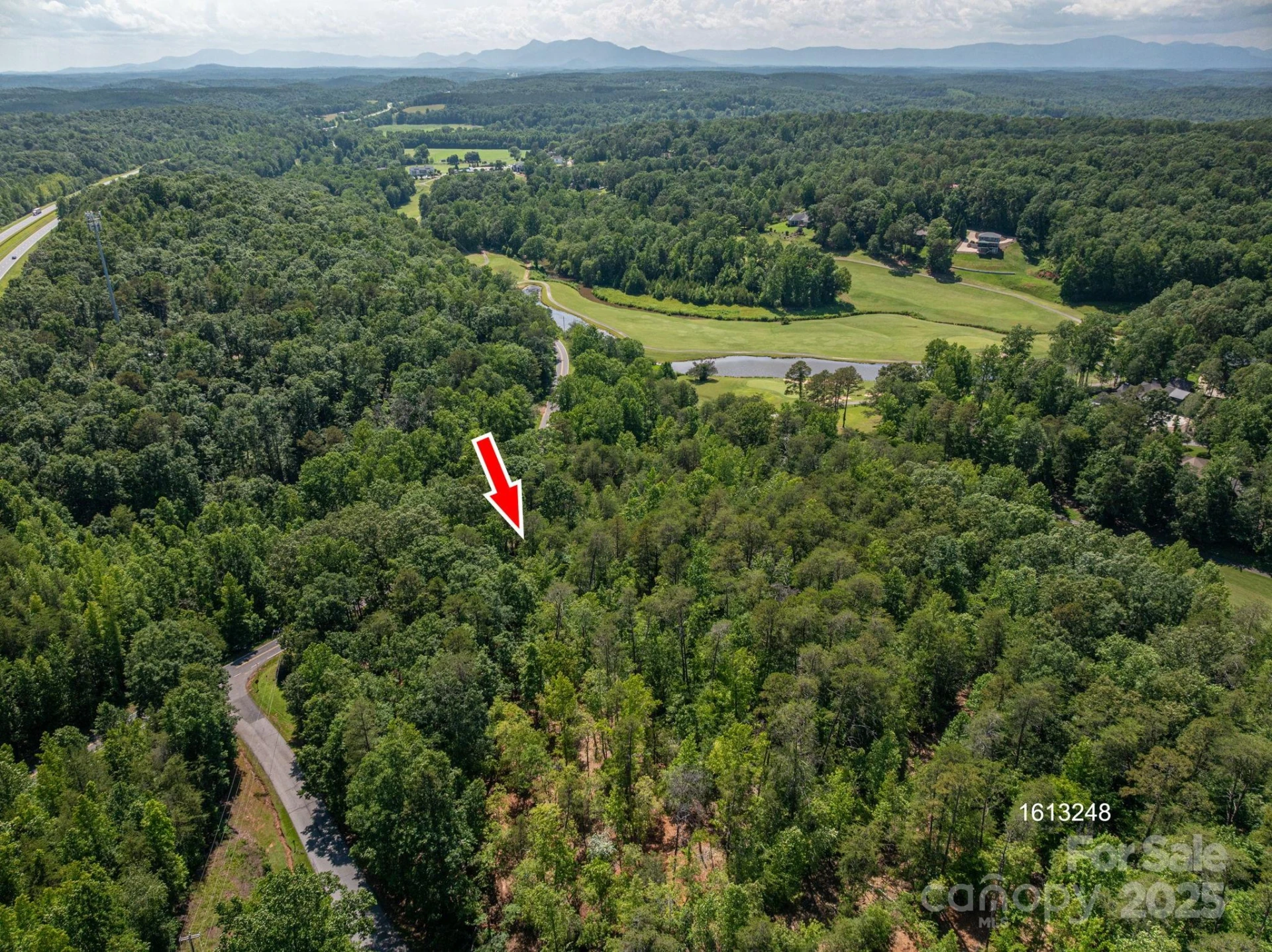 Lot 7 Cleghorn Mill Road - Photo 4