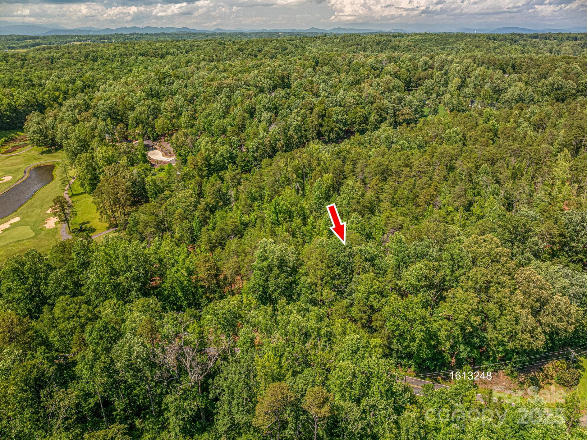 Lot 7 Cleghorn Mill Road - Photo 5