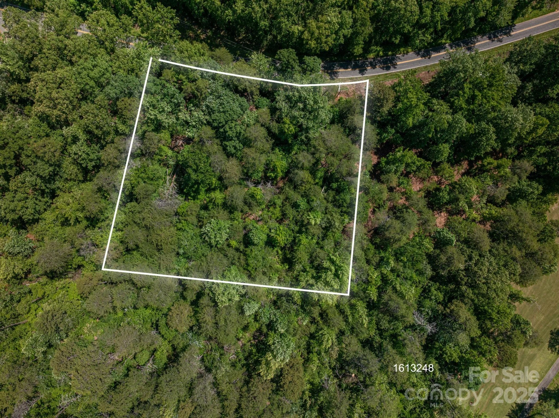 Lot 7 Cleghorn Mill Road - Photo 7