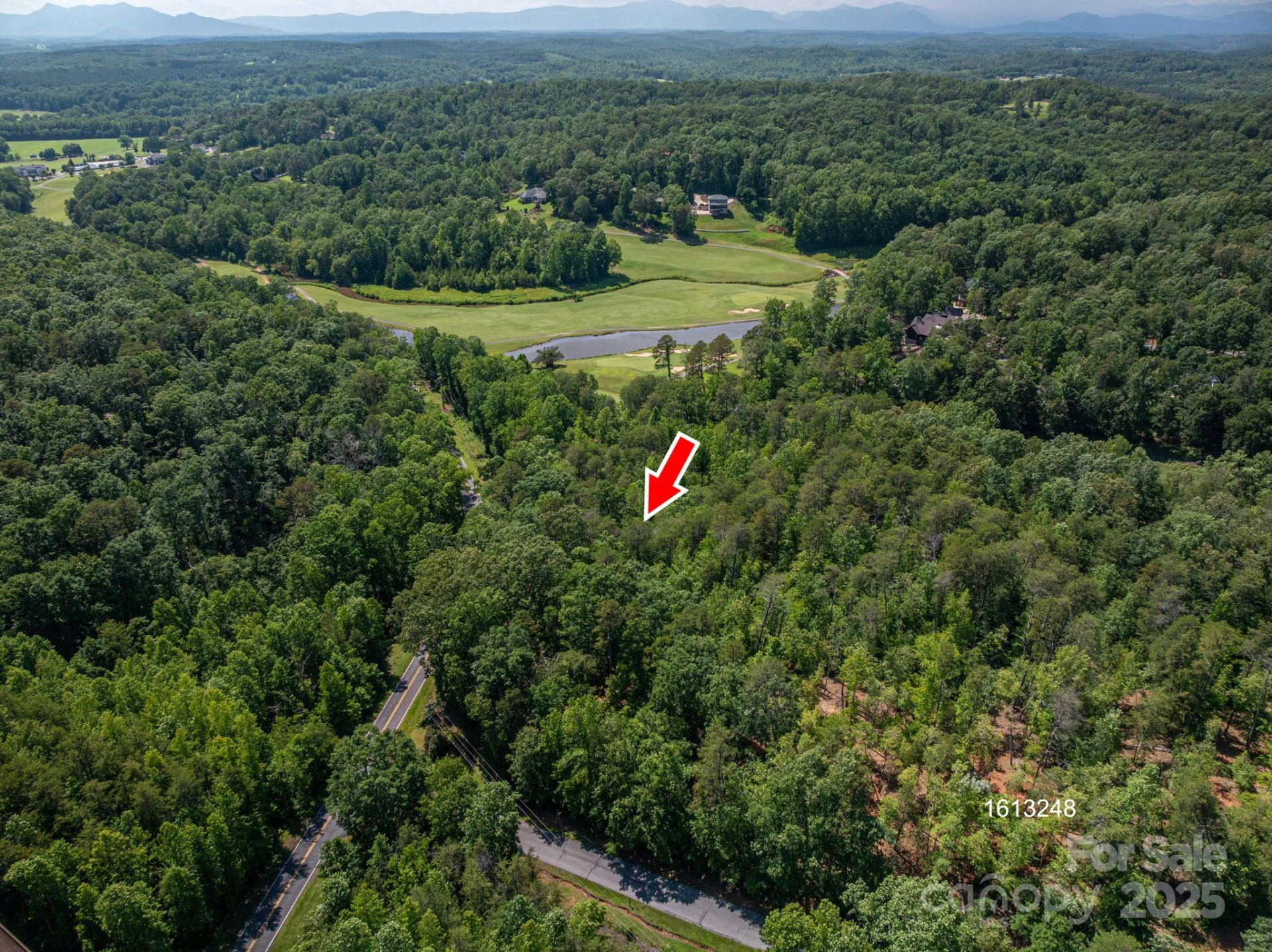 Lot 7 Cleghorn Mill Road - Photo 8