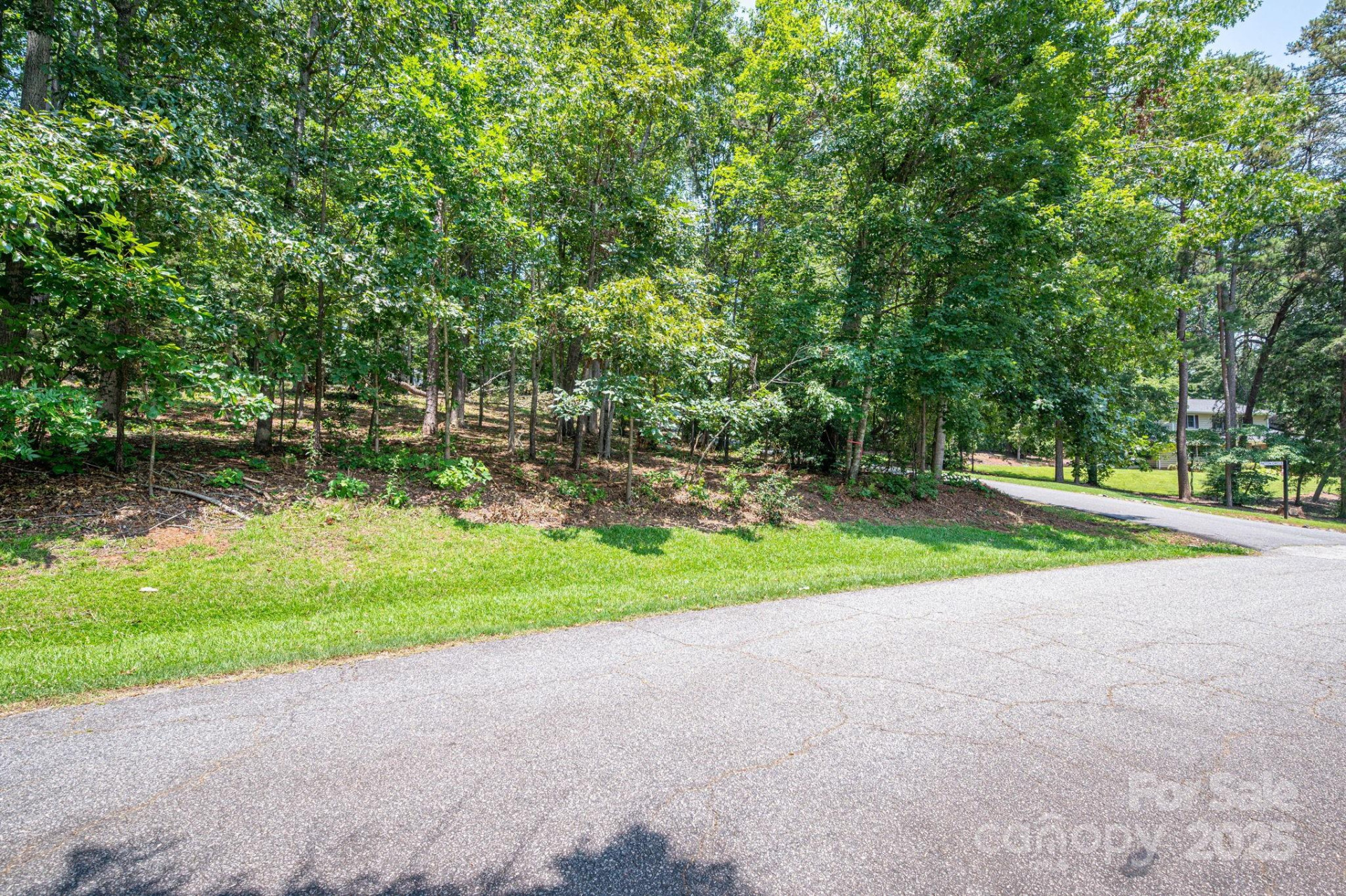 Lot #9 Moss Drive - Photo 9
