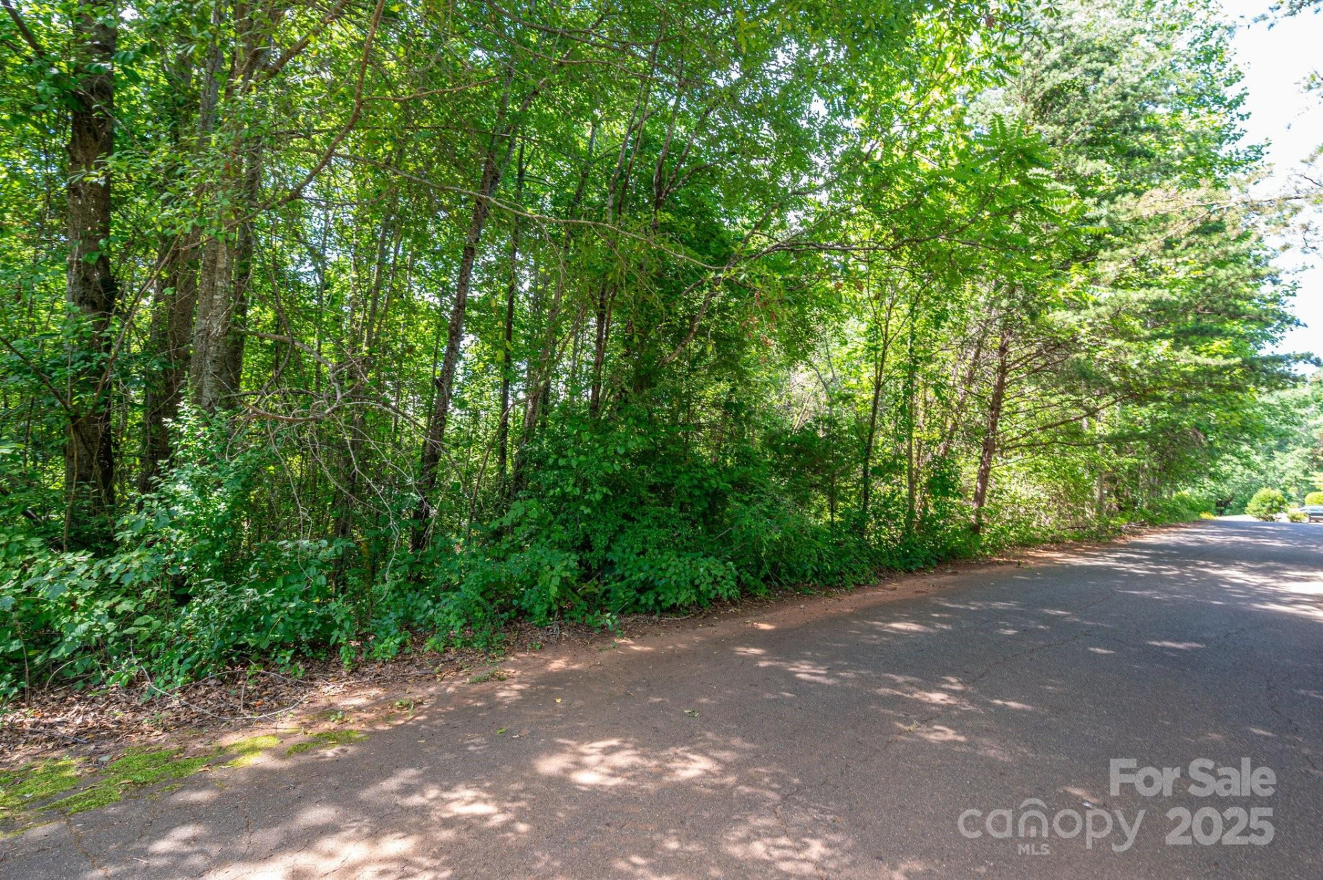 Lot #24 Deacons Ridge Drive - Photo 12