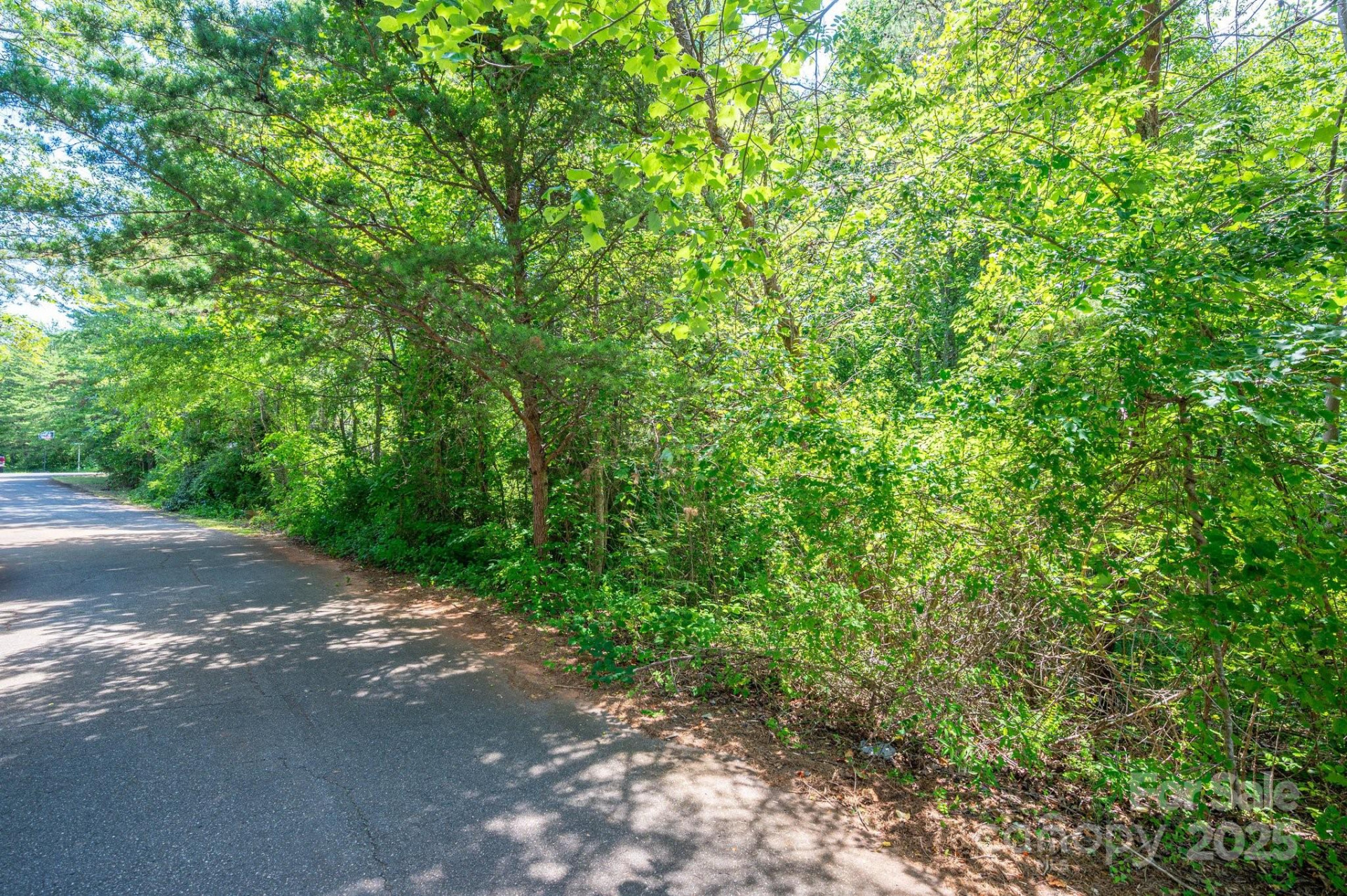 Lot #24 Deacons Ridge Drive - Photo 13
