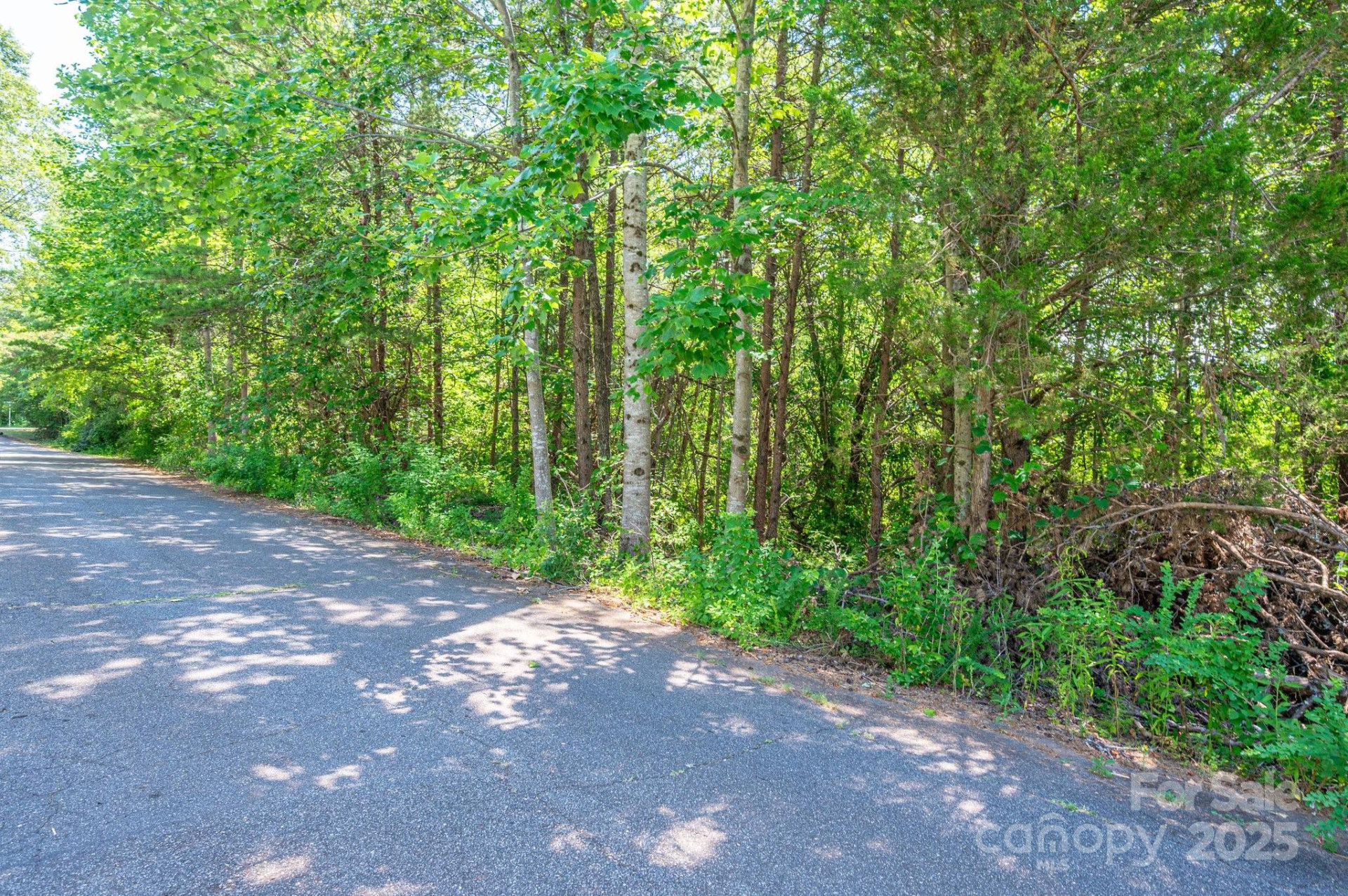 Lot #24 Deacons Ridge Drive - Photo 14