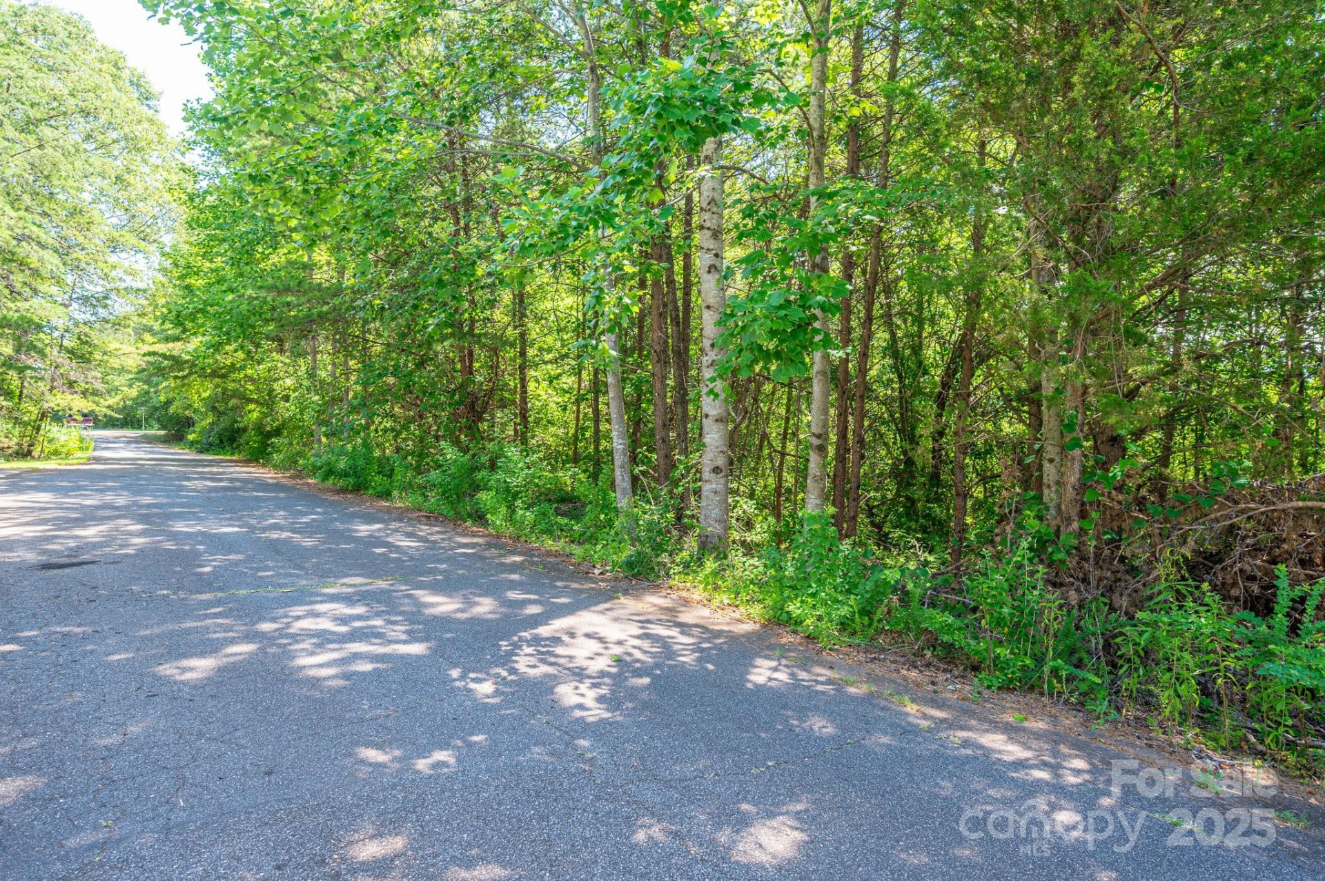 Lot #24 Deacons Ridge Drive - Photo 15