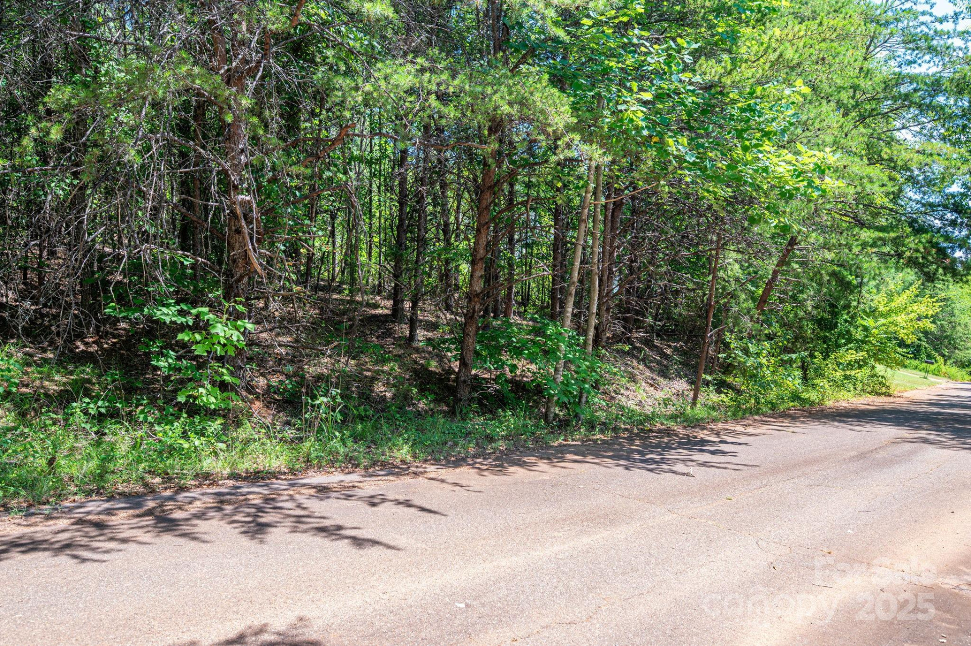 Lot 10 Meadow Crossing Drive - Photo 4