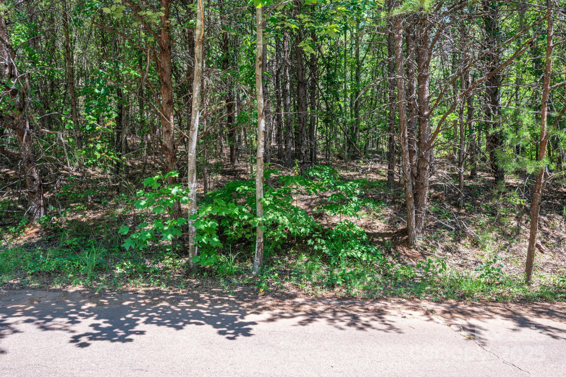 Lot 10 Meadow Crossing Drive - Photo 6