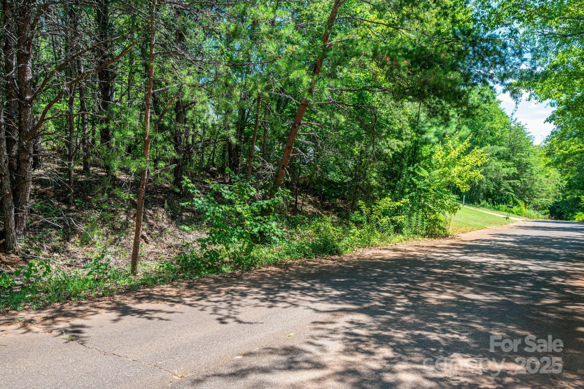 Lot 10 Meadow Crossing Drive - Photo 8