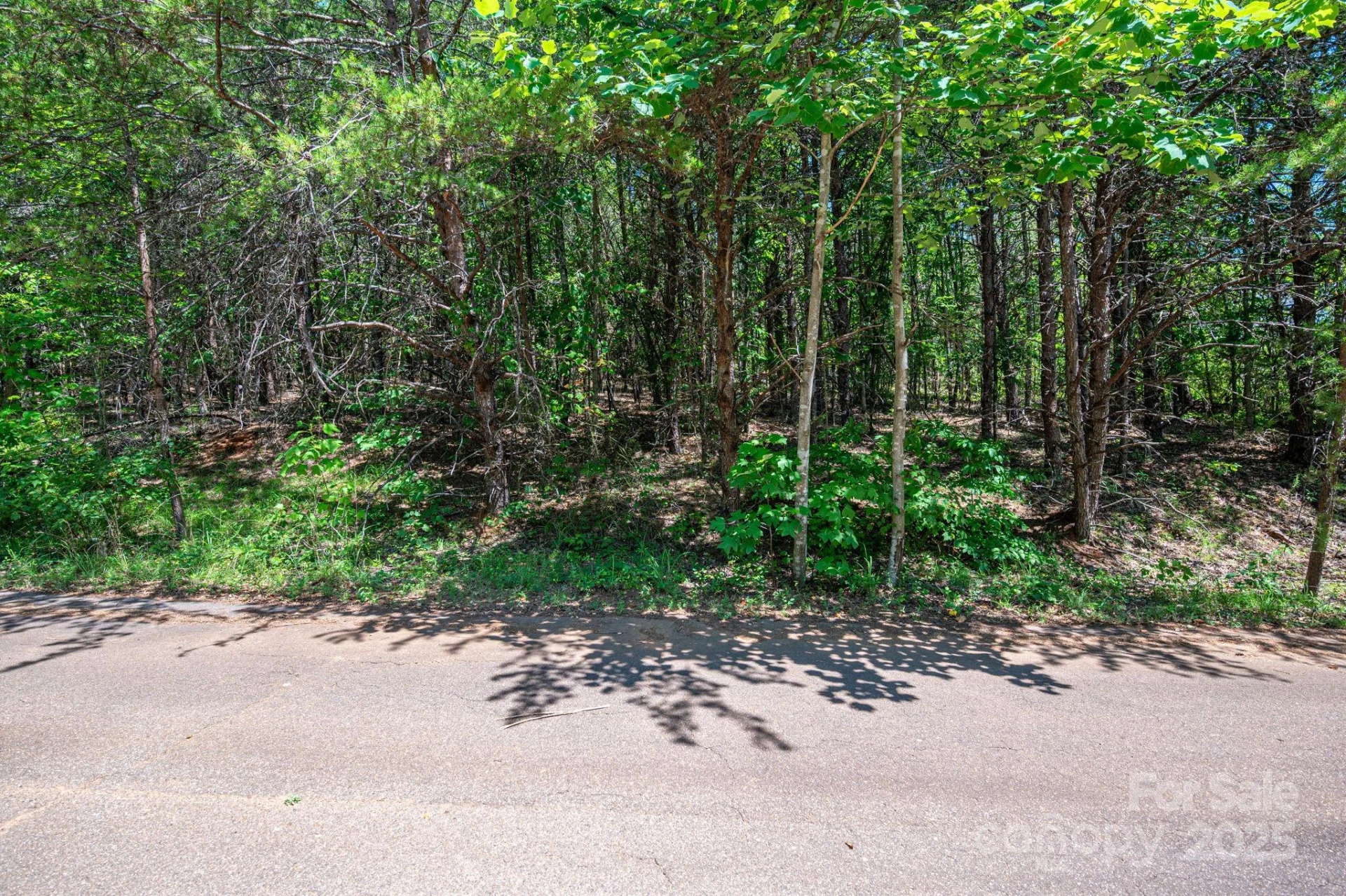 Lot 10 Meadow Crossing Drive - Photo 9