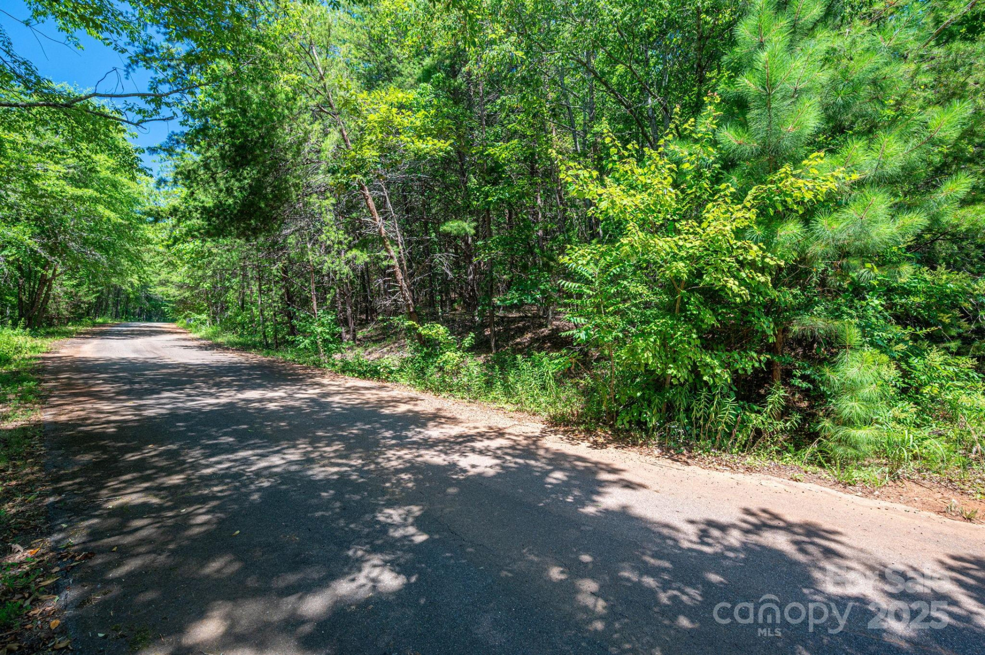 Lot 10 Meadow Crossing Drive - Photo 10