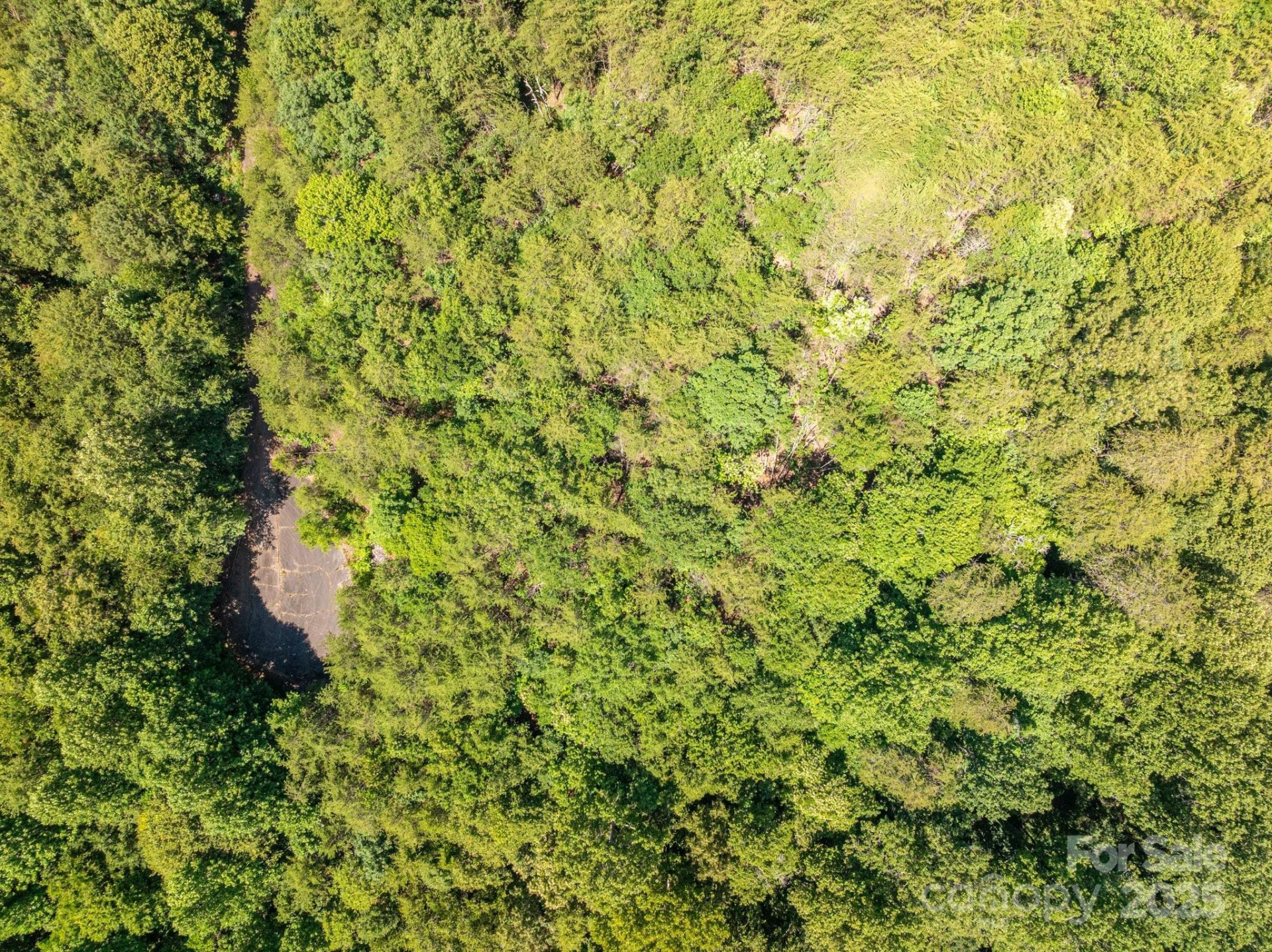 0 Meadow Crossing Drive - Photo 13