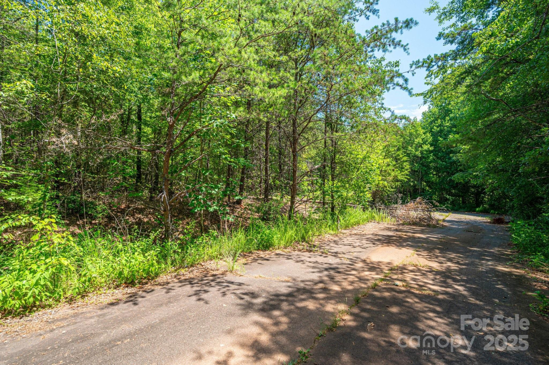 0 Meadow Crossing Drive - Photo 14