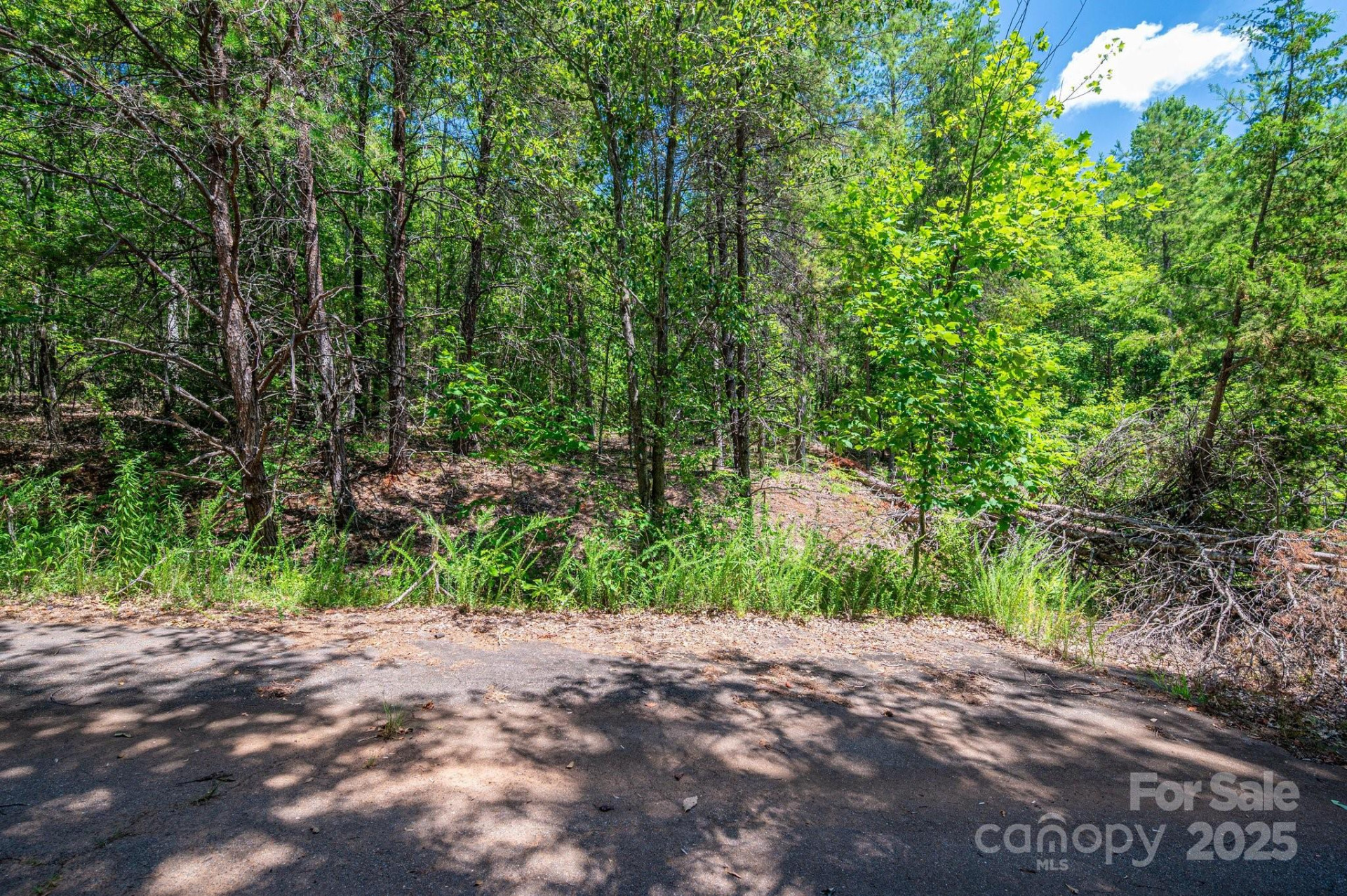 0 Meadow Crossing Drive - Photo 15