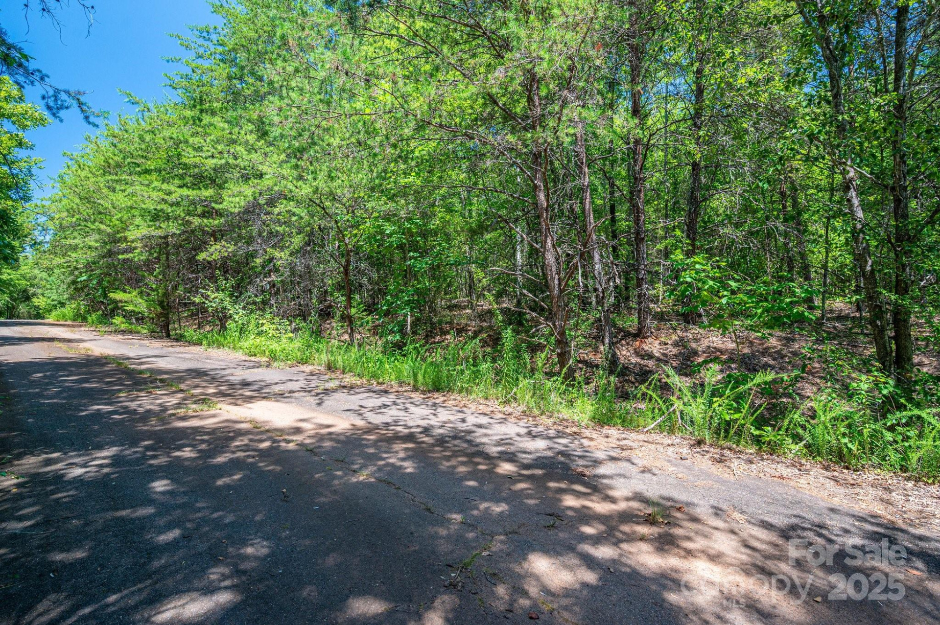 0 Meadow Crossing Drive - Photo 16