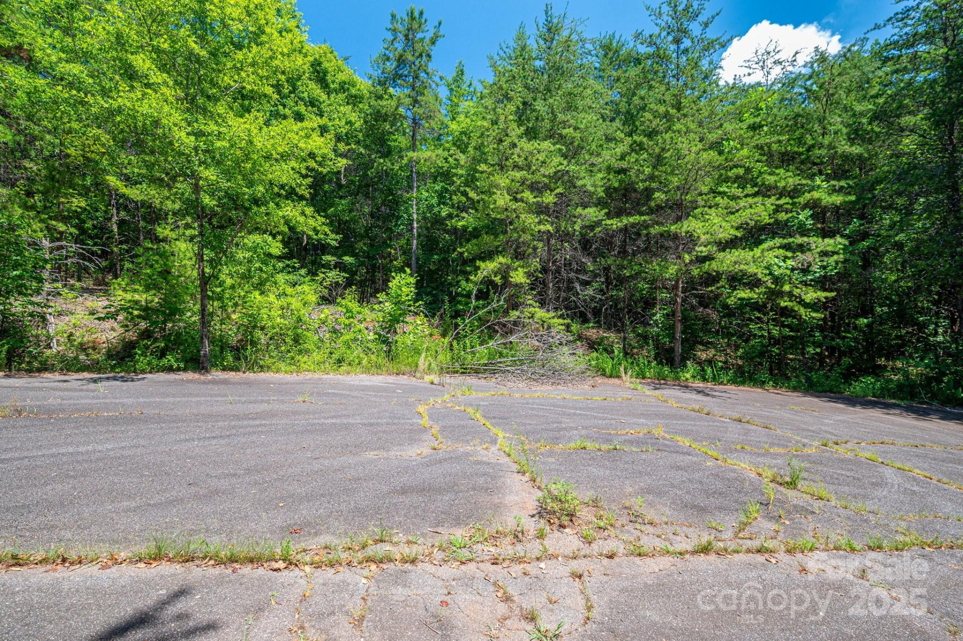 0 Meadow Crossing Drive - Photo 17