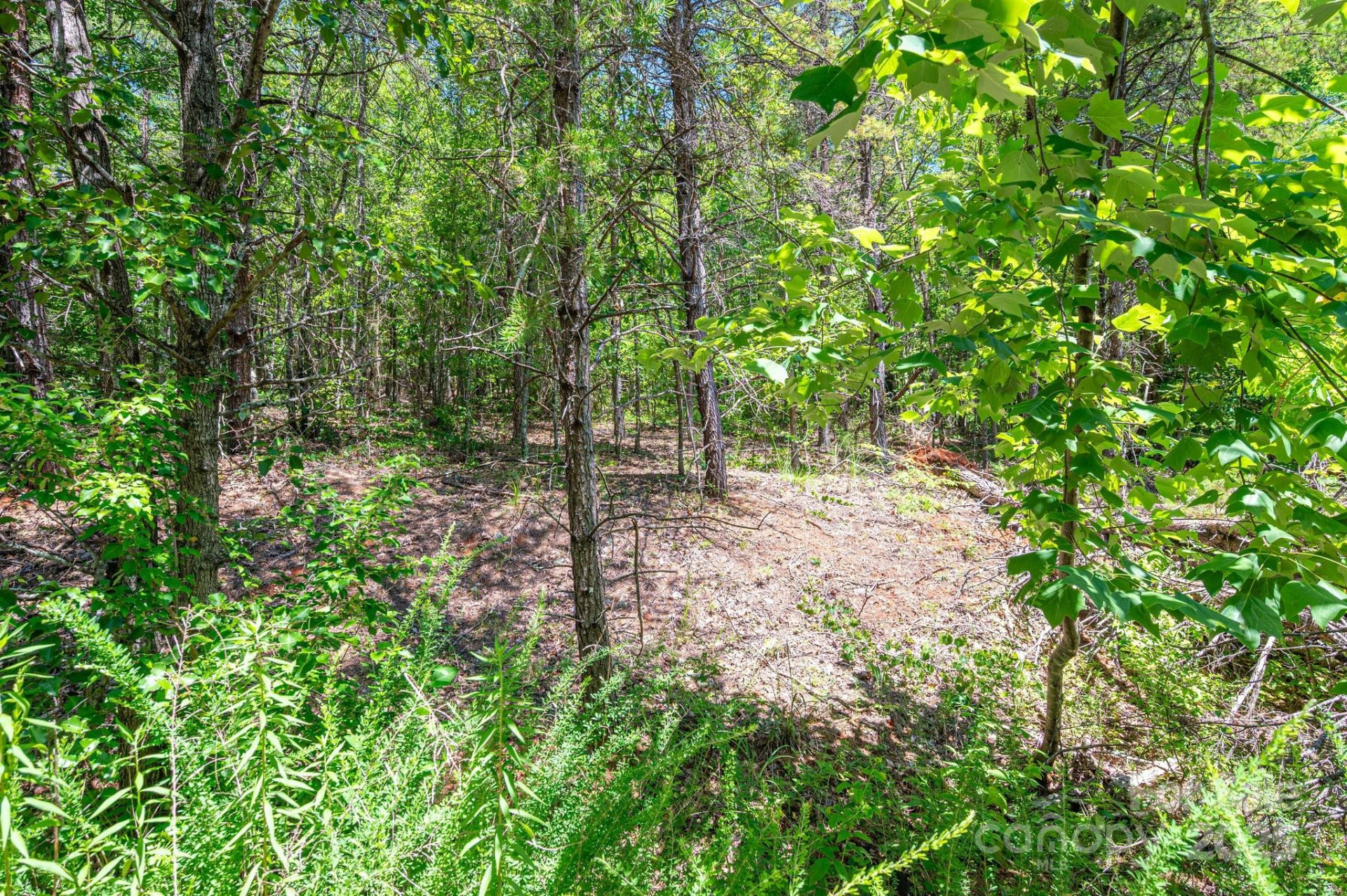 0 Meadow Crossing Drive - Photo 20