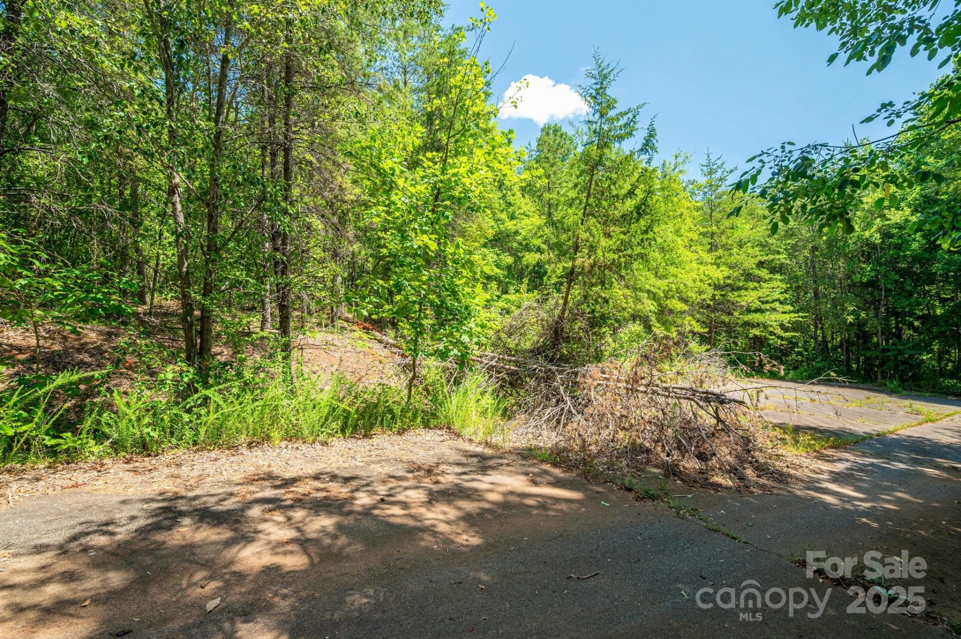 0 Meadow Crossing Drive - Photo 3