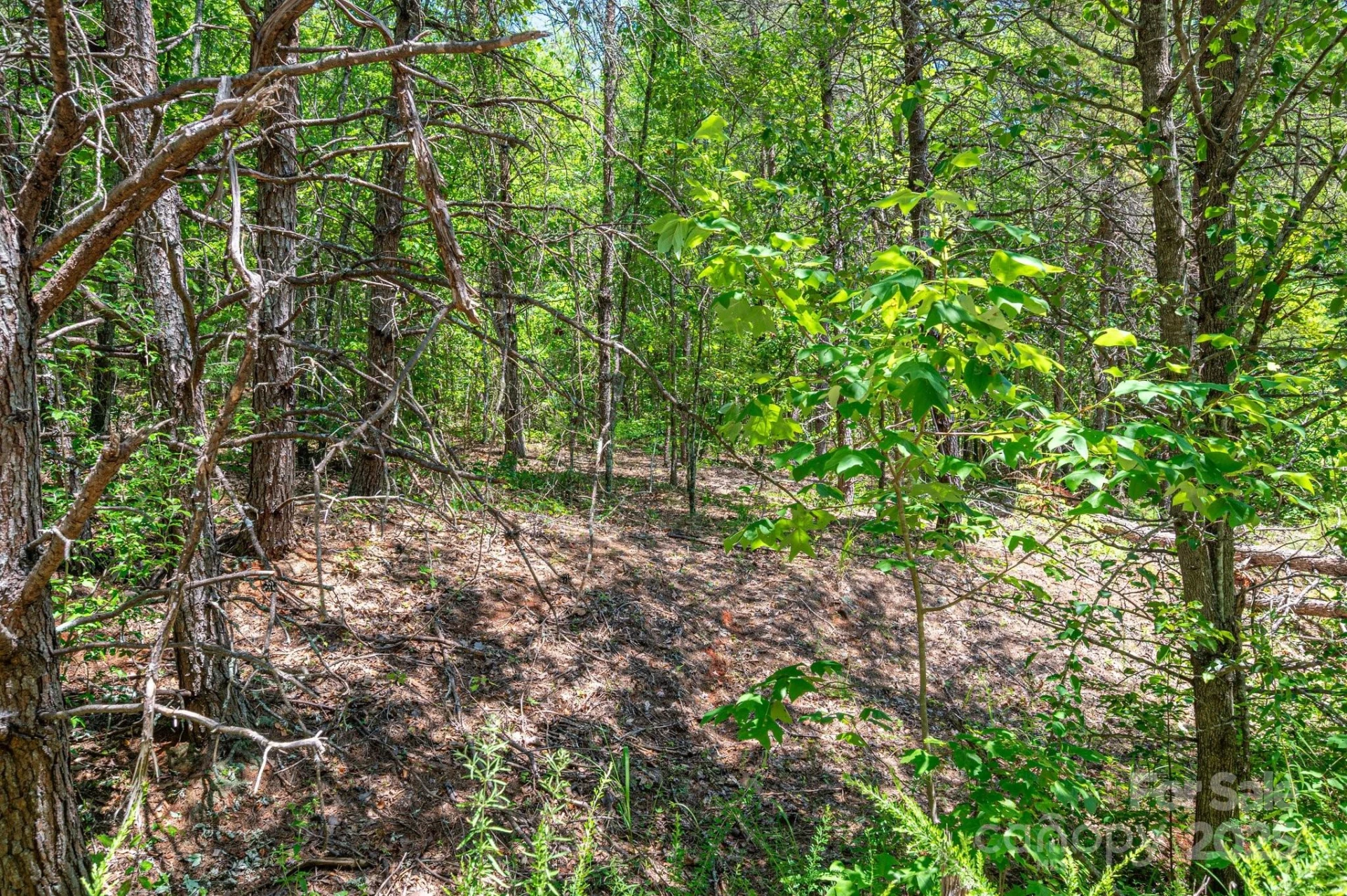 0 Meadow Crossing Drive - Photo 21