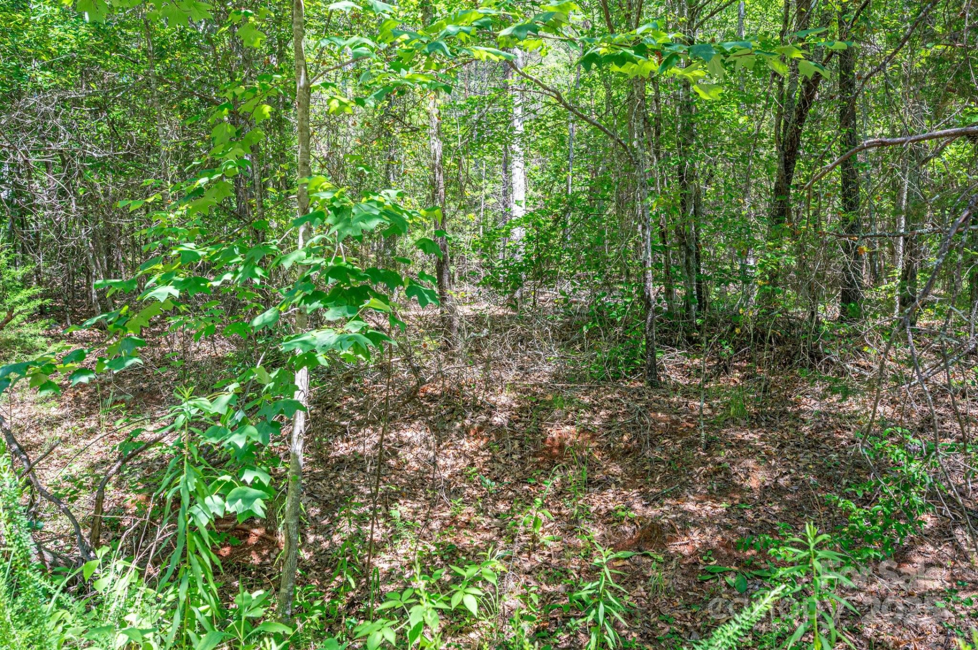 0 Meadow Crossing Drive - Photo 22