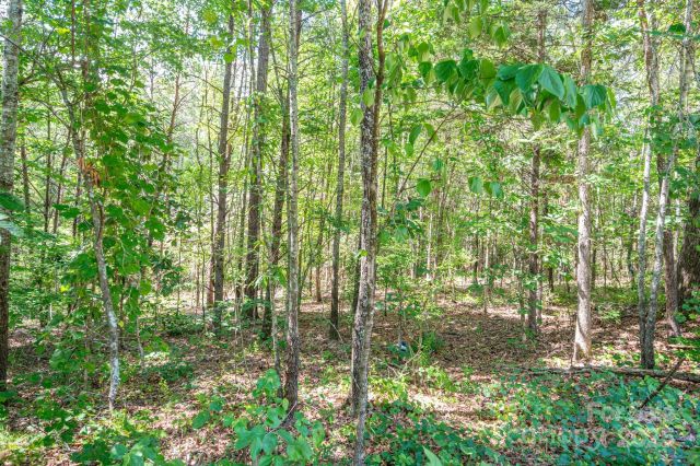 Lot # 16 Meadow Crossing Drive