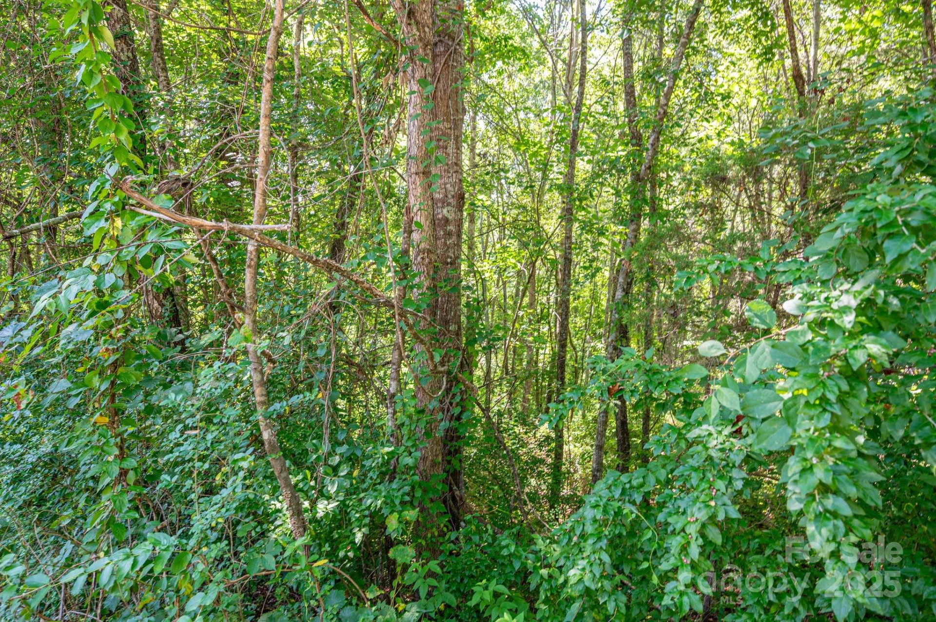 Lot # 16 Meadow Crossing Drive - Photo 2